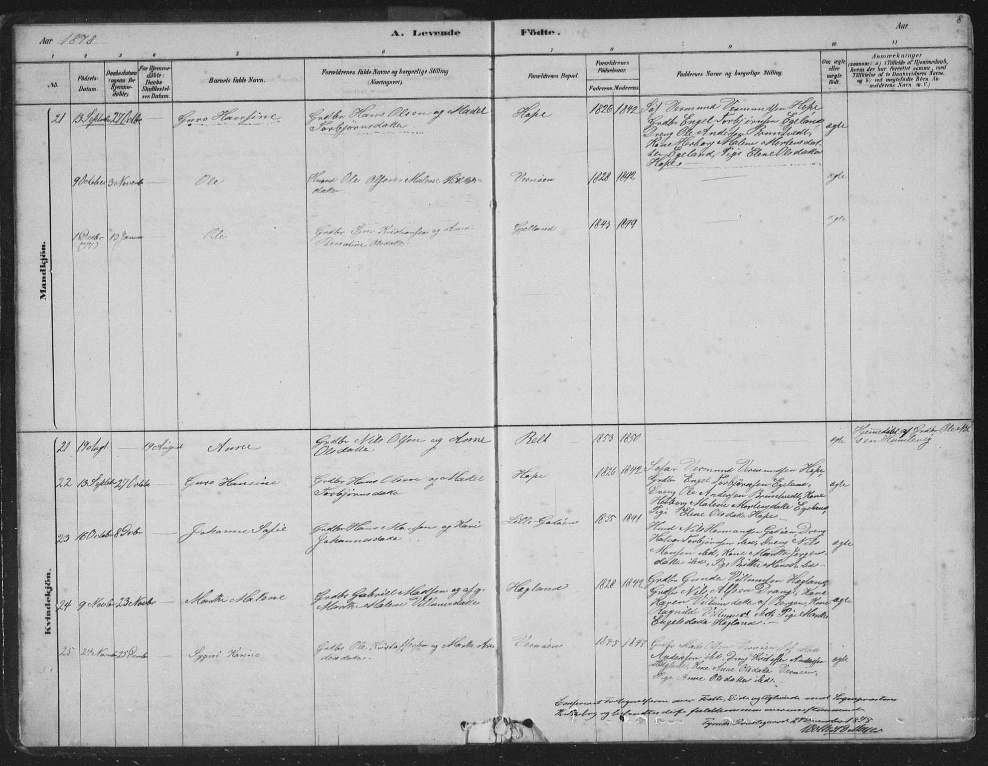 Tysnes sokneprestembete, SAB/A-78601/H/Hab: Parish register (copy) no. B 2, 1878-1918, p. 8