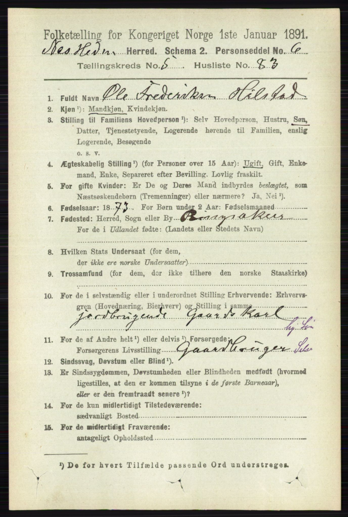 RA, 1891 census for 0411 Nes, 1891, p. 3144
