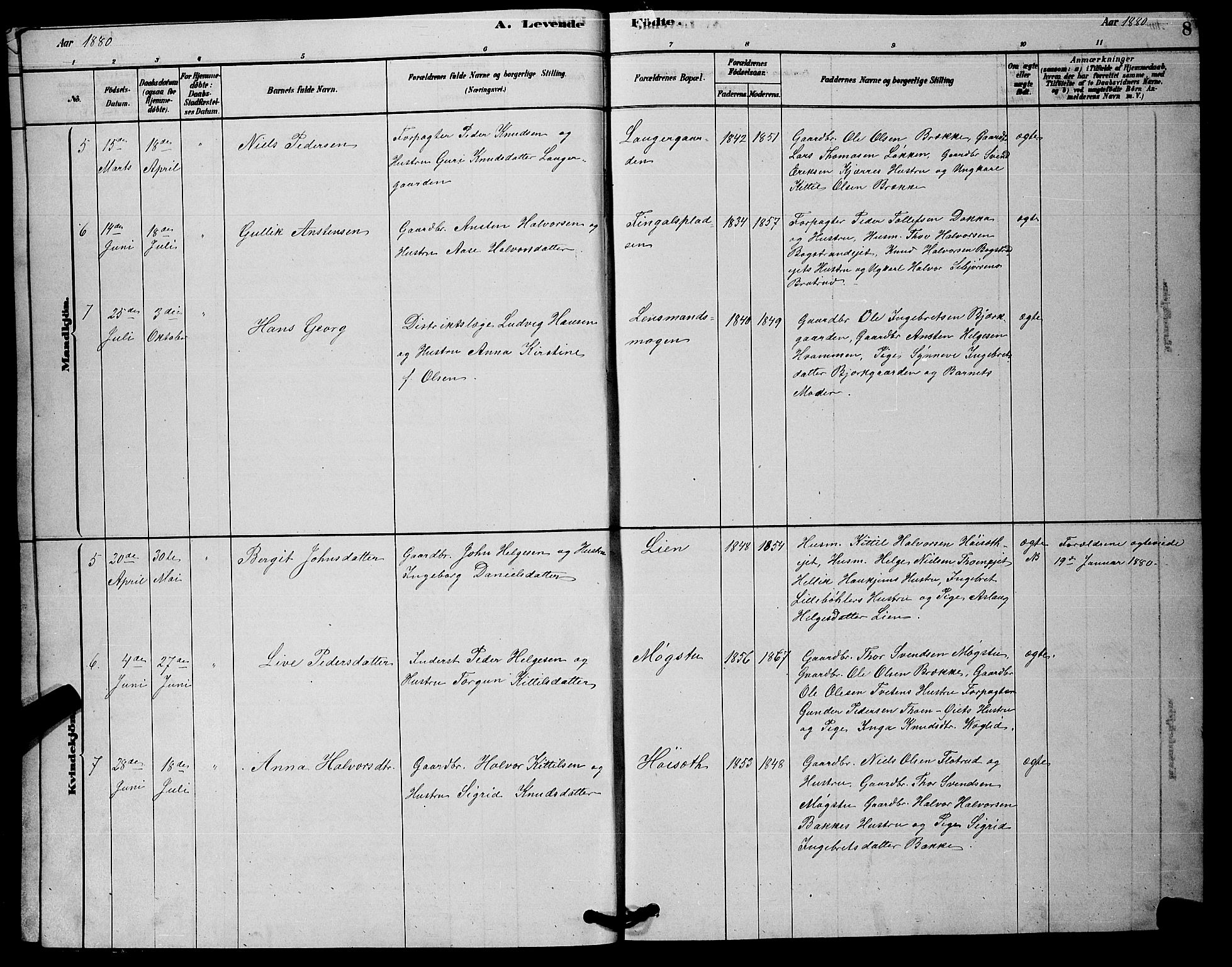 Rollag kirkebøker, AV/SAKO-A-240/G/Gb/L0002: Parish register (copy) no. II 2, 1878-1898, p. 8