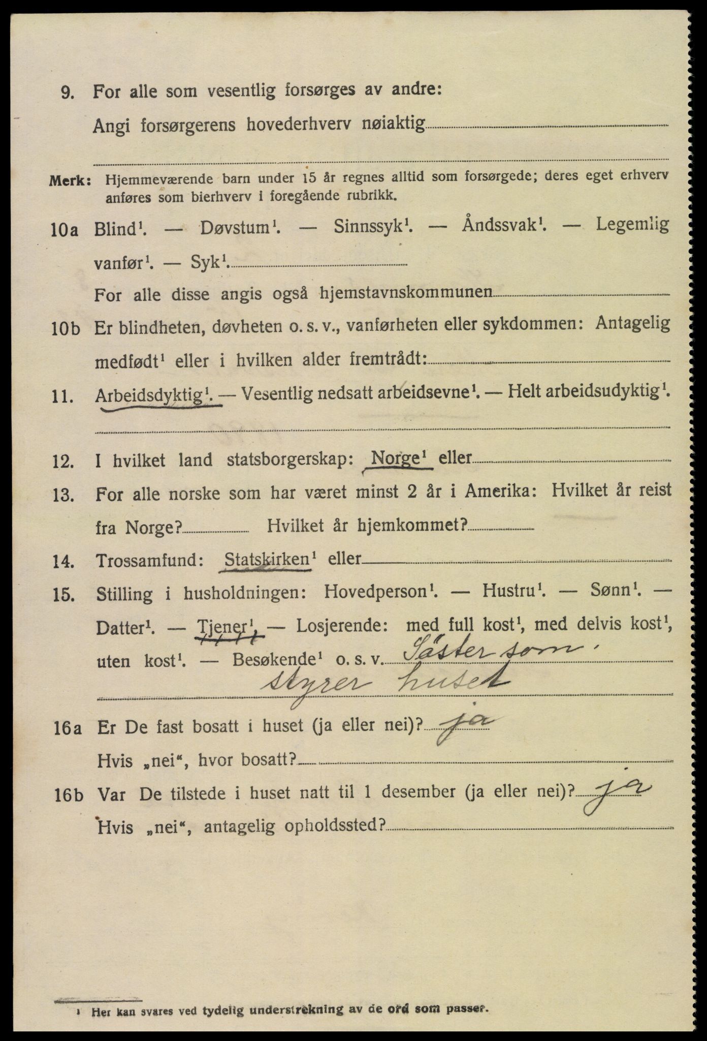 SAK, 1920 census for Hornnes, 1920, p. 2178