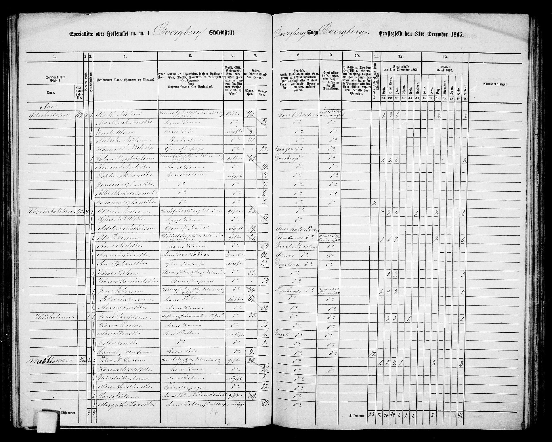 RA, 1865 census for Dverberg, 1865, p. 9