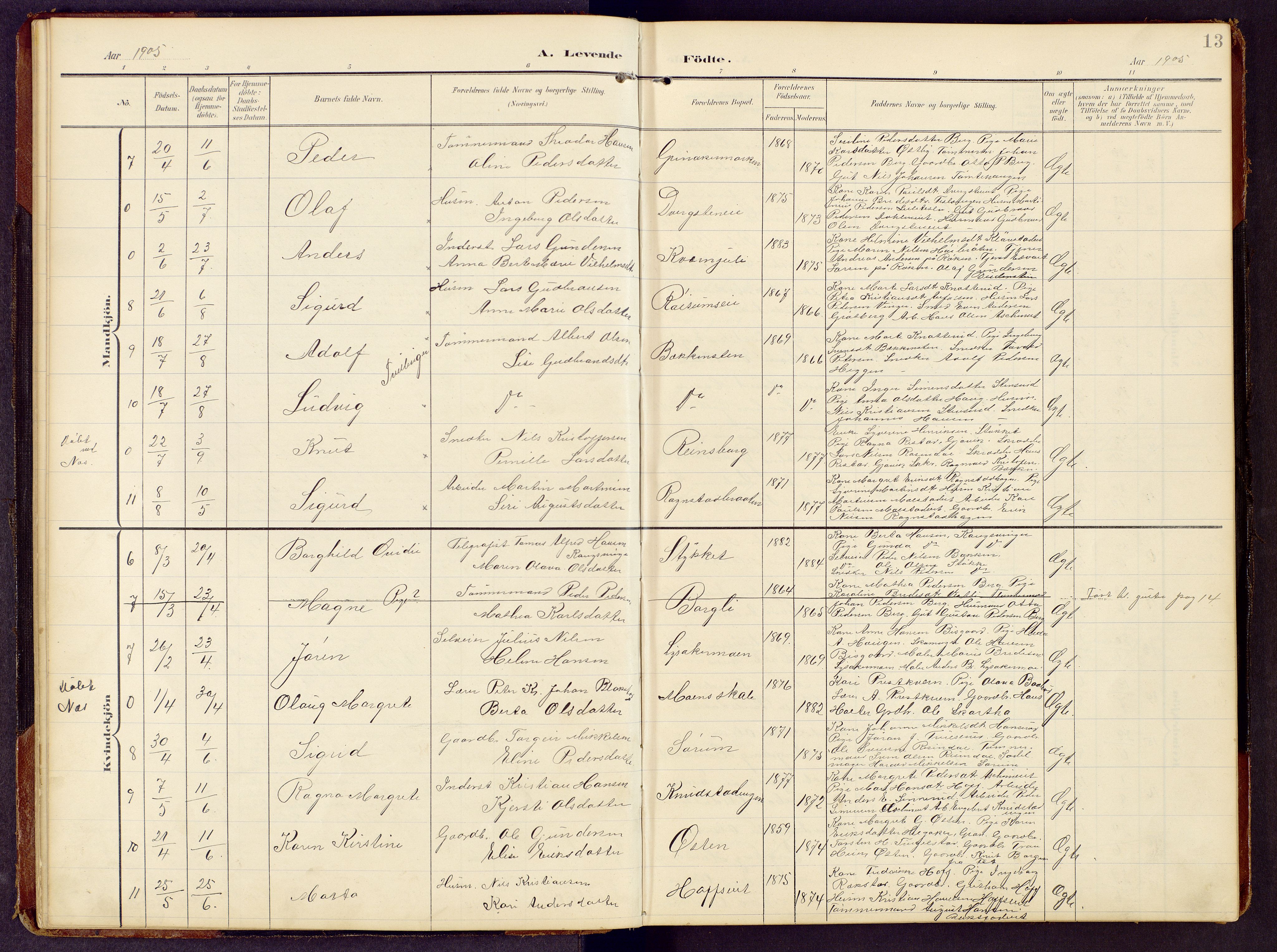 Brandbu prestekontor, SAH/PREST-114/H/Ha/Hab/L0009: Parish register (copy) no. 9, 1903-1916, p. 13
