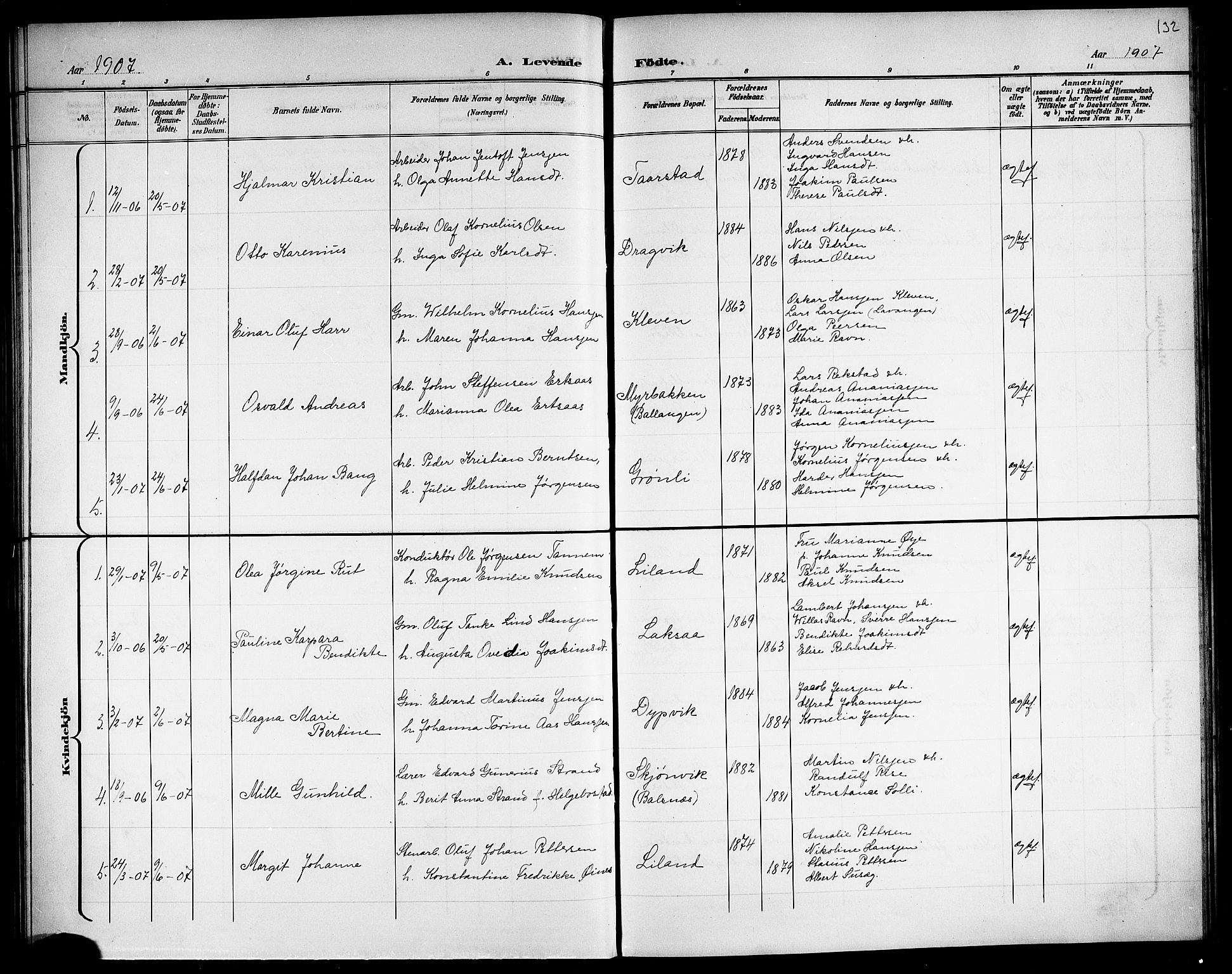 Ministerialprotokoller, klokkerbøker og fødselsregistre - Nordland, AV/SAT-A-1459/863/L0915: Parish register (copy) no. 863C05, 1898-1907, p. 132