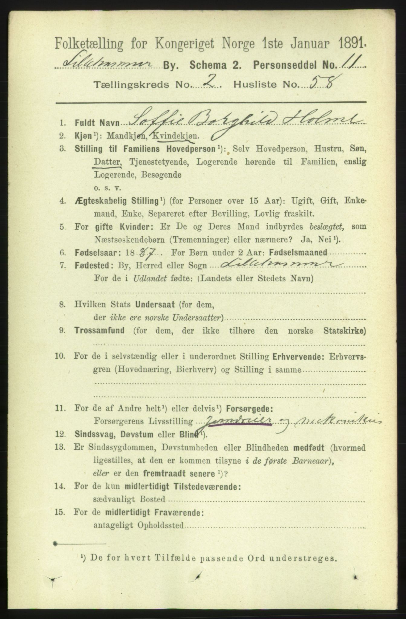 RA, 1891 census for 0501 Lillehammer, 1891, p. 1846