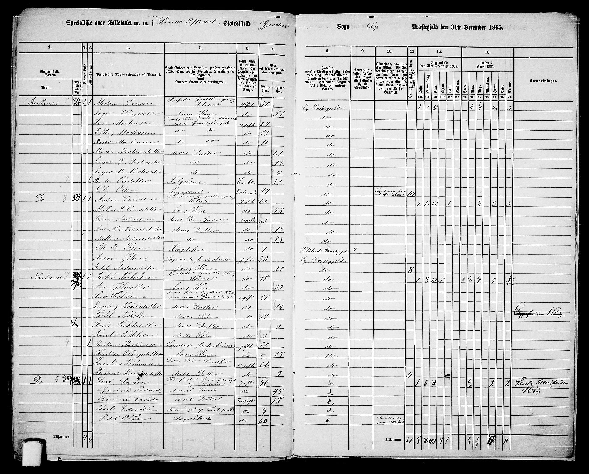 RA, 1865 census for Lye, 1865, p. 154
