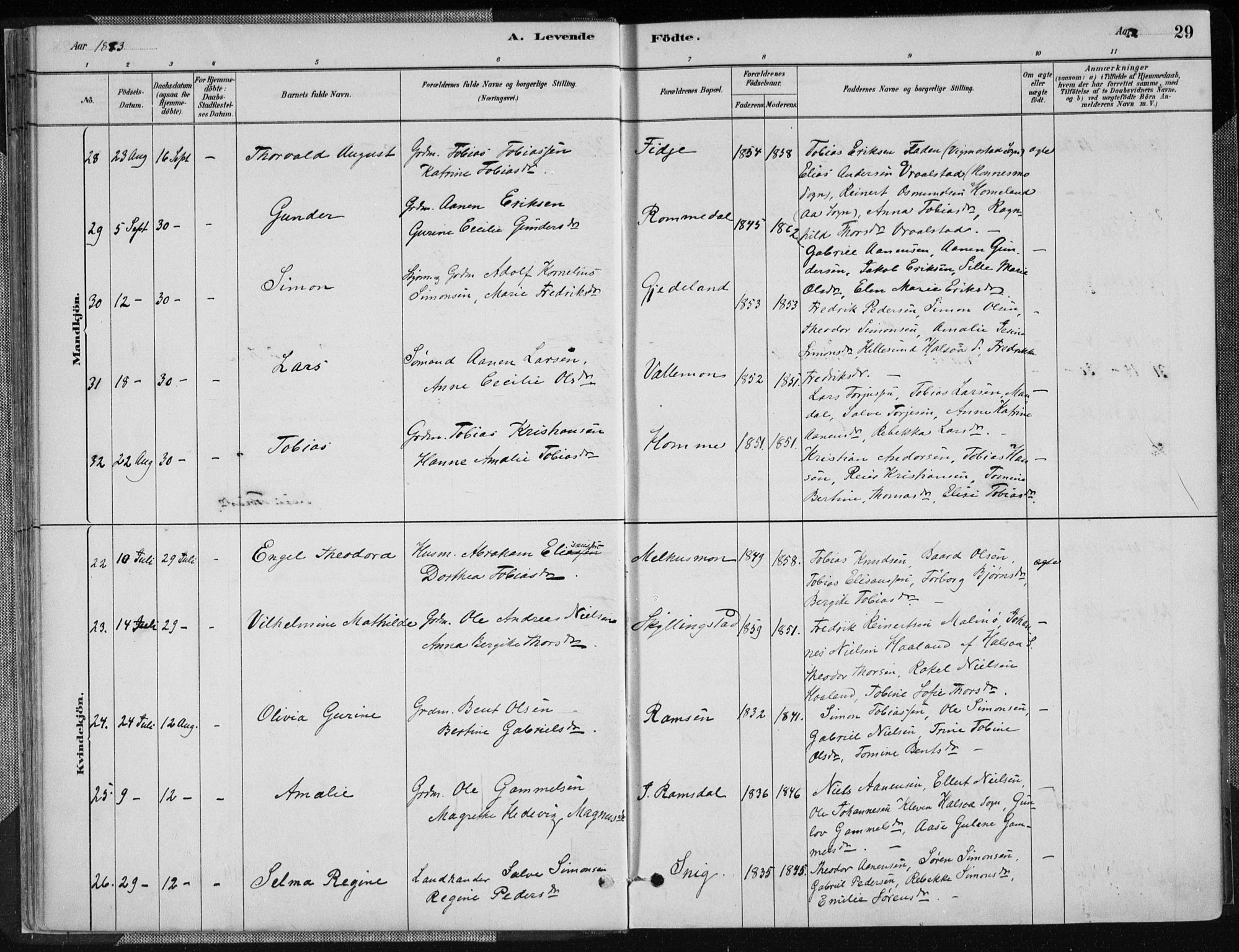 Sør-Audnedal sokneprestkontor, AV/SAK-1111-0039/F/Fa/Fab/L0009: Parish register (official) no. A 9, 1880-1895, p. 29