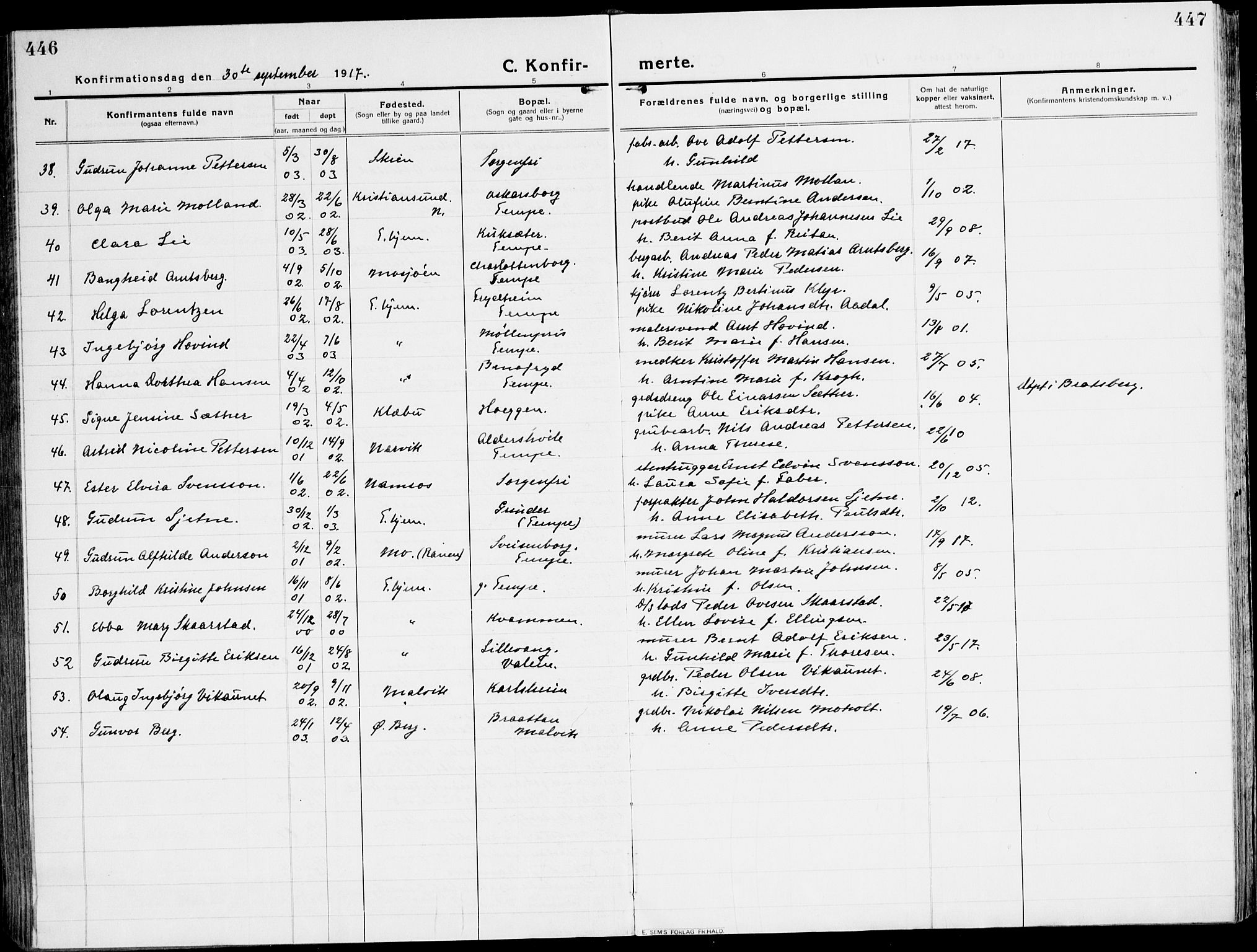 Ministerialprotokoller, klokkerbøker og fødselsregistre - Sør-Trøndelag, AV/SAT-A-1456/607/L0321: Parish register (official) no. 607A05, 1916-1935, p. 446-447