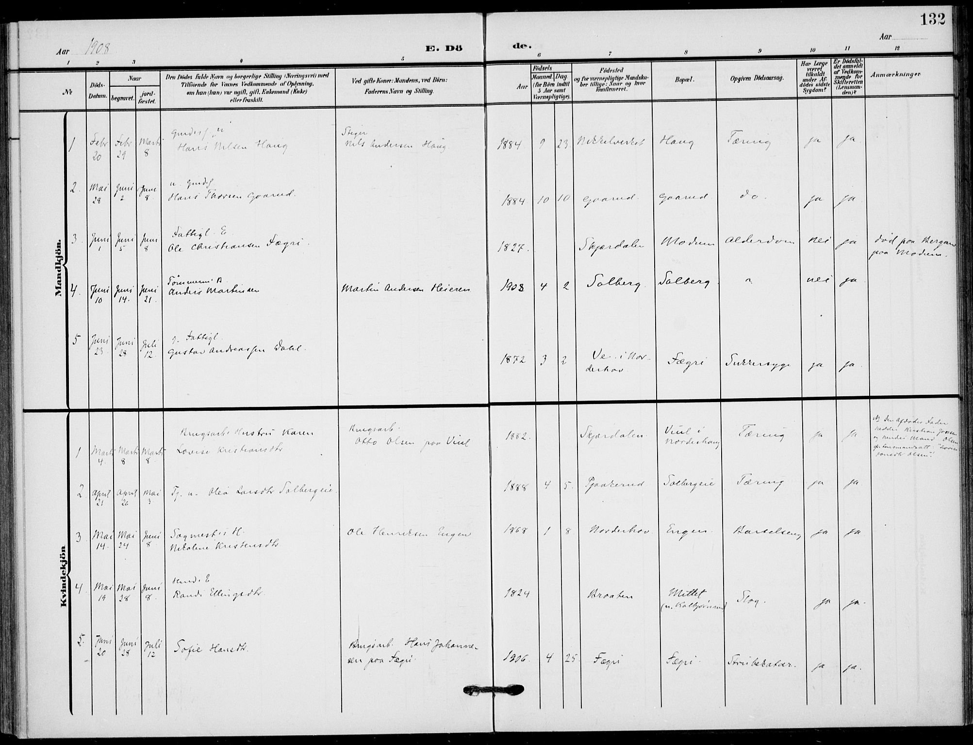 Hole kirkebøker, SAKO/A-228/F/Fb/L0003: Parish register (official) no. II 3, 1906-1916, p. 132