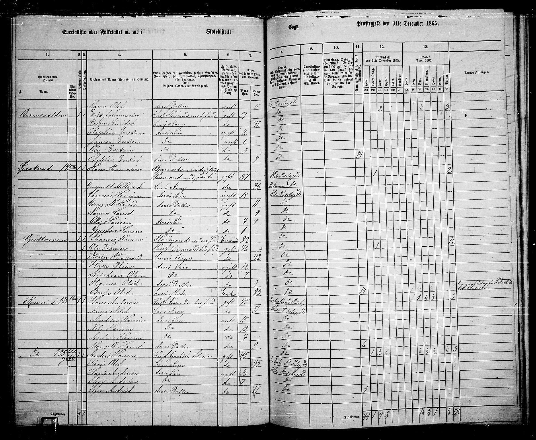 RA, 1865 census for Hole, 1865, p. 131