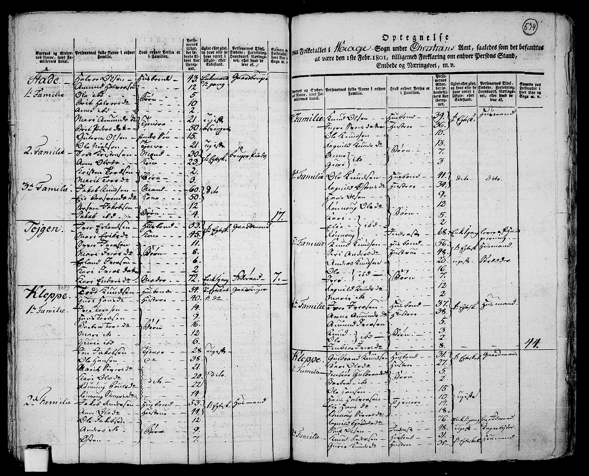 RA, 1801 census for 0515P Vågå, 1801, p. 533b-534a