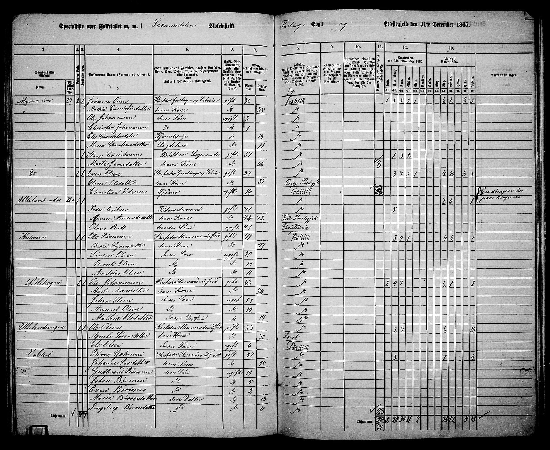 RA, 1865 census for Fåberg/Fåberg og Lillehammer, 1865, p. 215