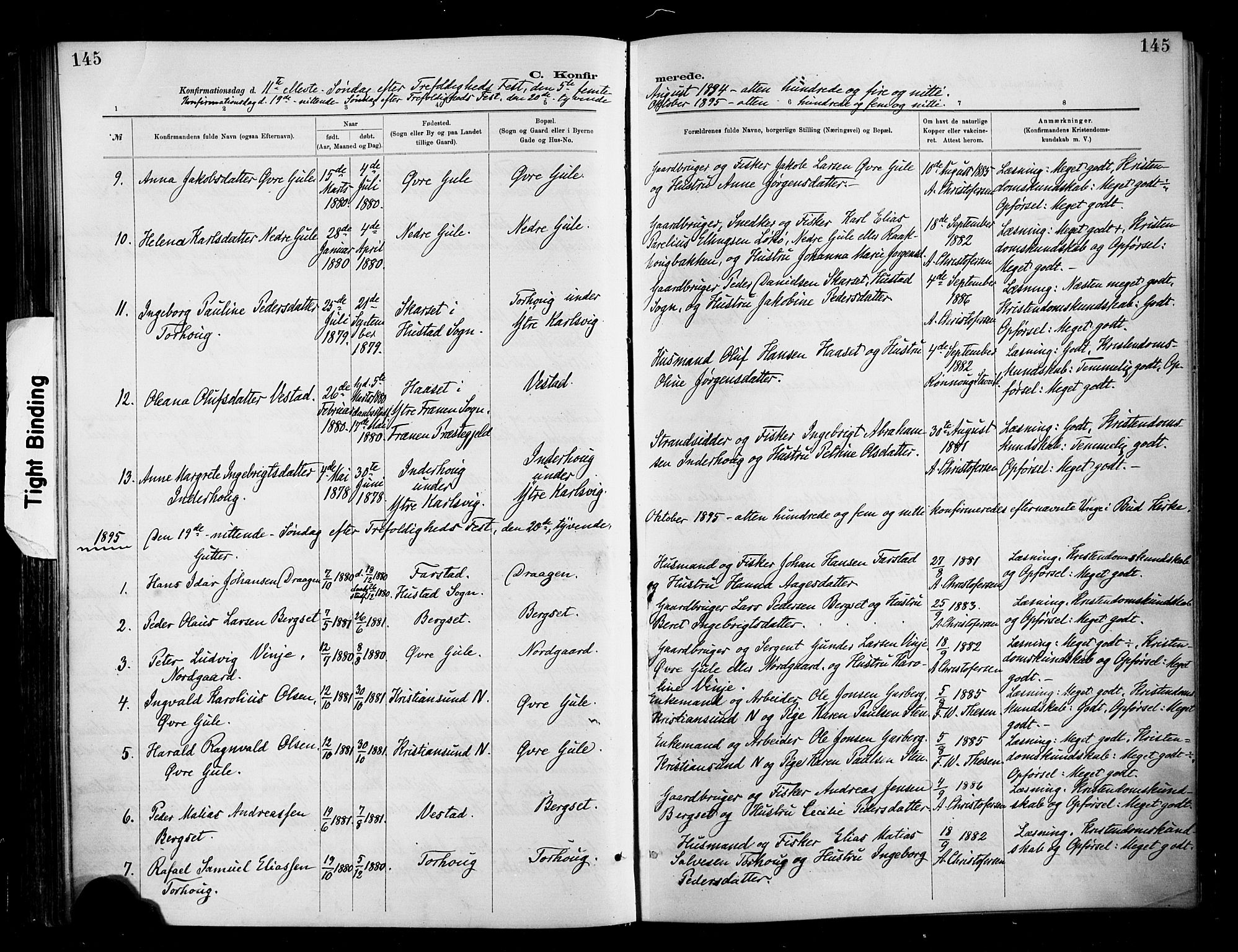 Ministerialprotokoller, klokkerbøker og fødselsregistre - Møre og Romsdal, SAT/A-1454/566/L0769: Parish register (official) no. 566A08, 1881-1903, p. 145