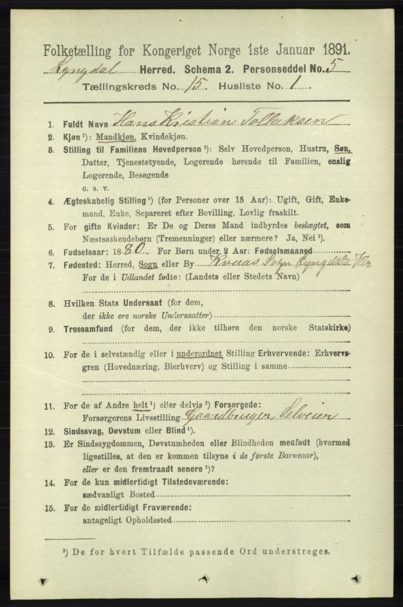 RA, 1891 census for 1032 Lyngdal, 1891, p. 6064