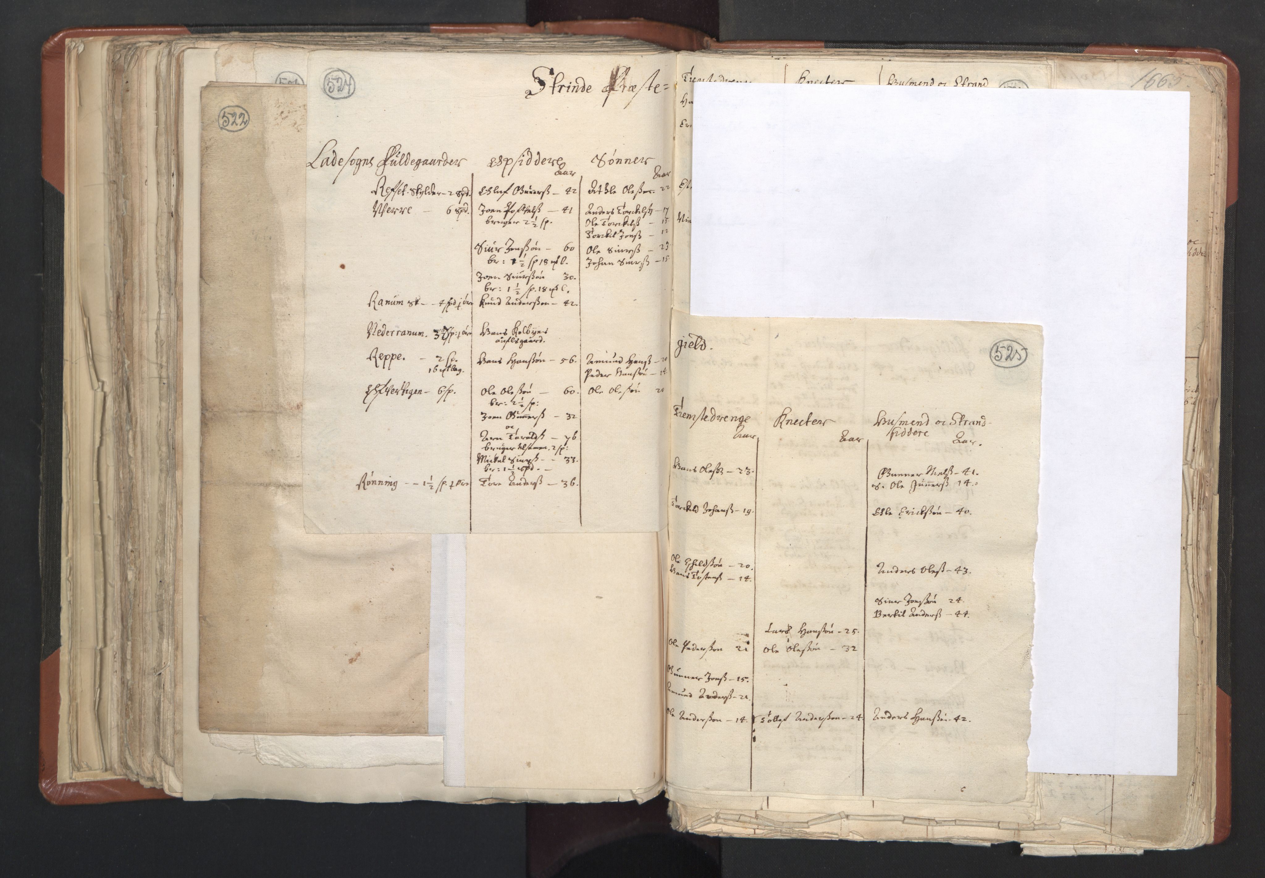 RA, Vicar's Census 1664-1666, no. 31: Dalane deanery, 1664-1666, p. 524-525