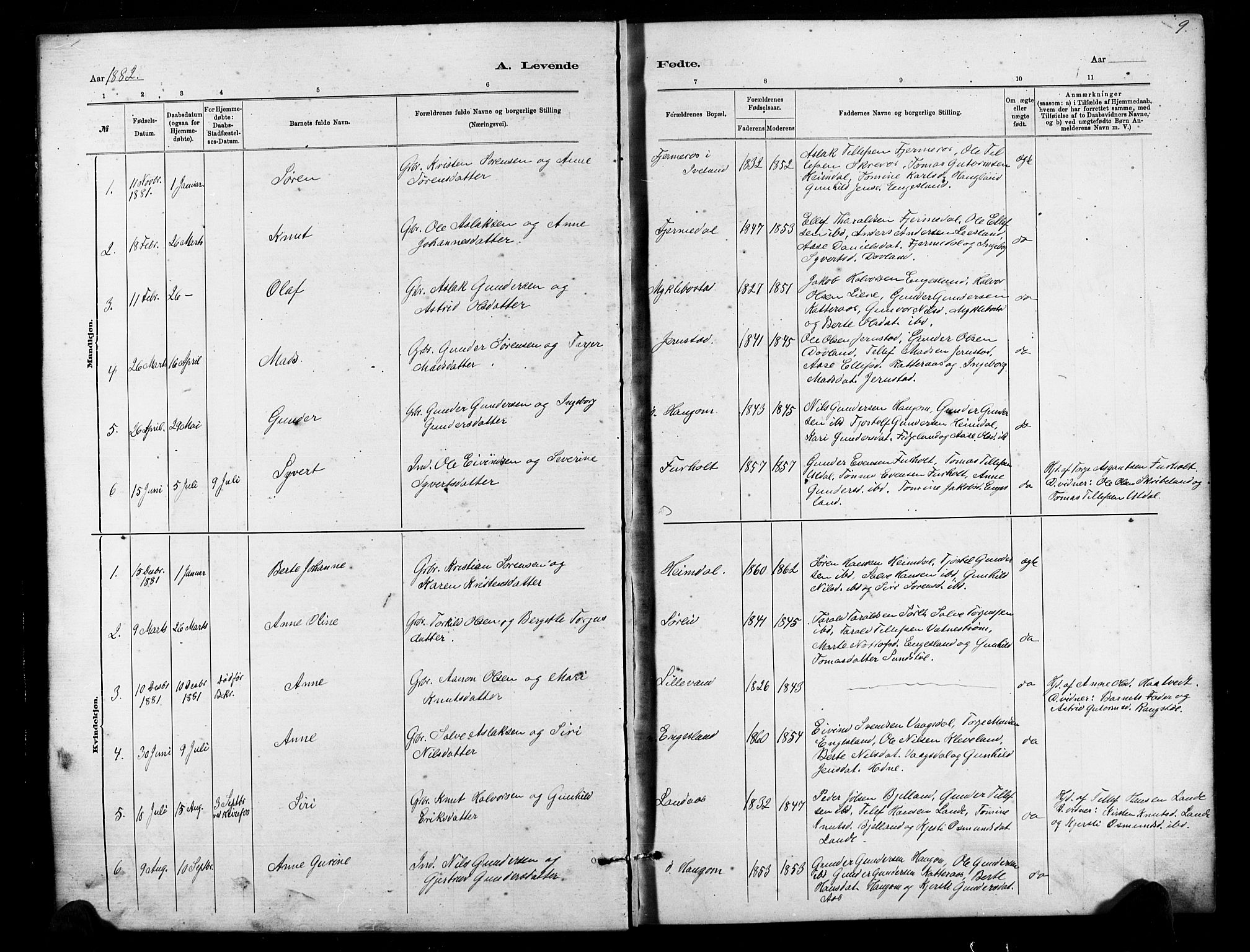 Herefoss sokneprestkontor, AV/SAK-1111-0019/F/Fb/Fbb/L0002: Parish register (copy) no. B 2, 1879-1894, p. 9