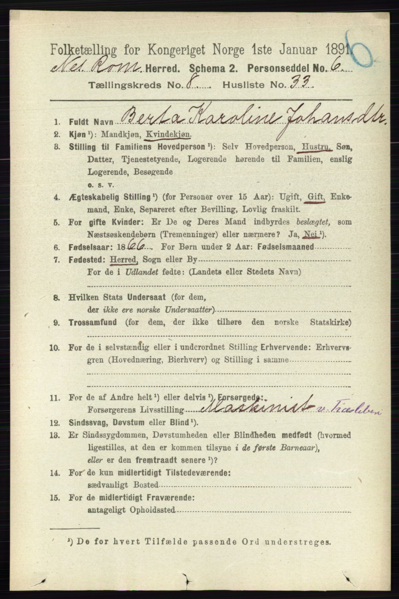 RA, 1891 census for 0236 Nes, 1891, p. 4808