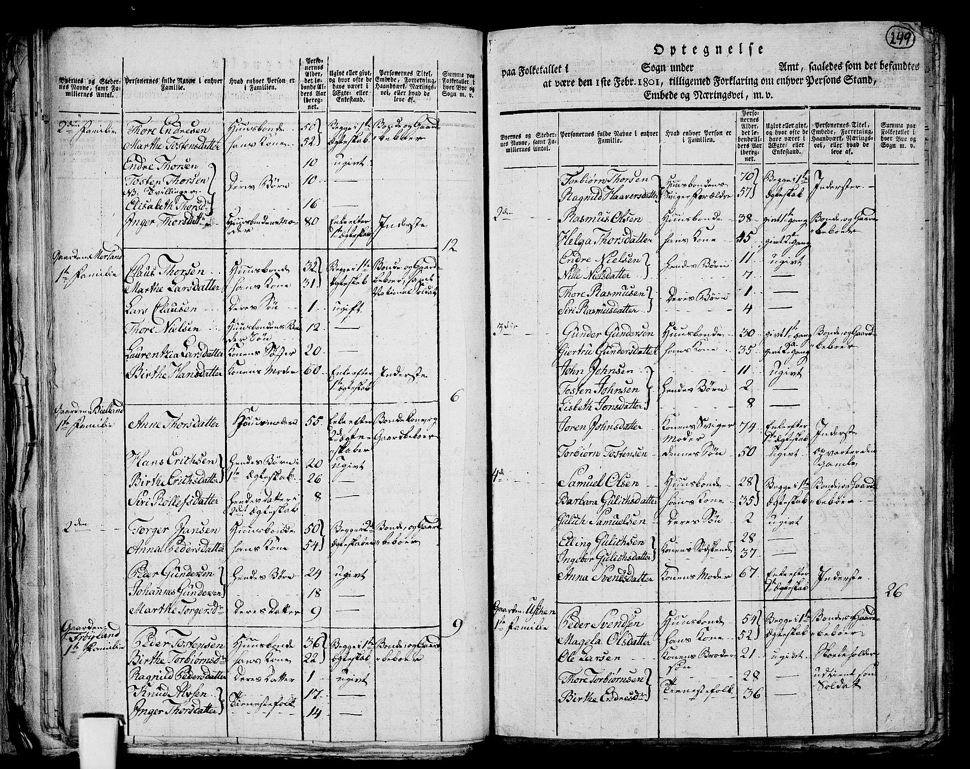 RA, 1801 census for 1103P Stavanger, 1801, p. 248b-249a