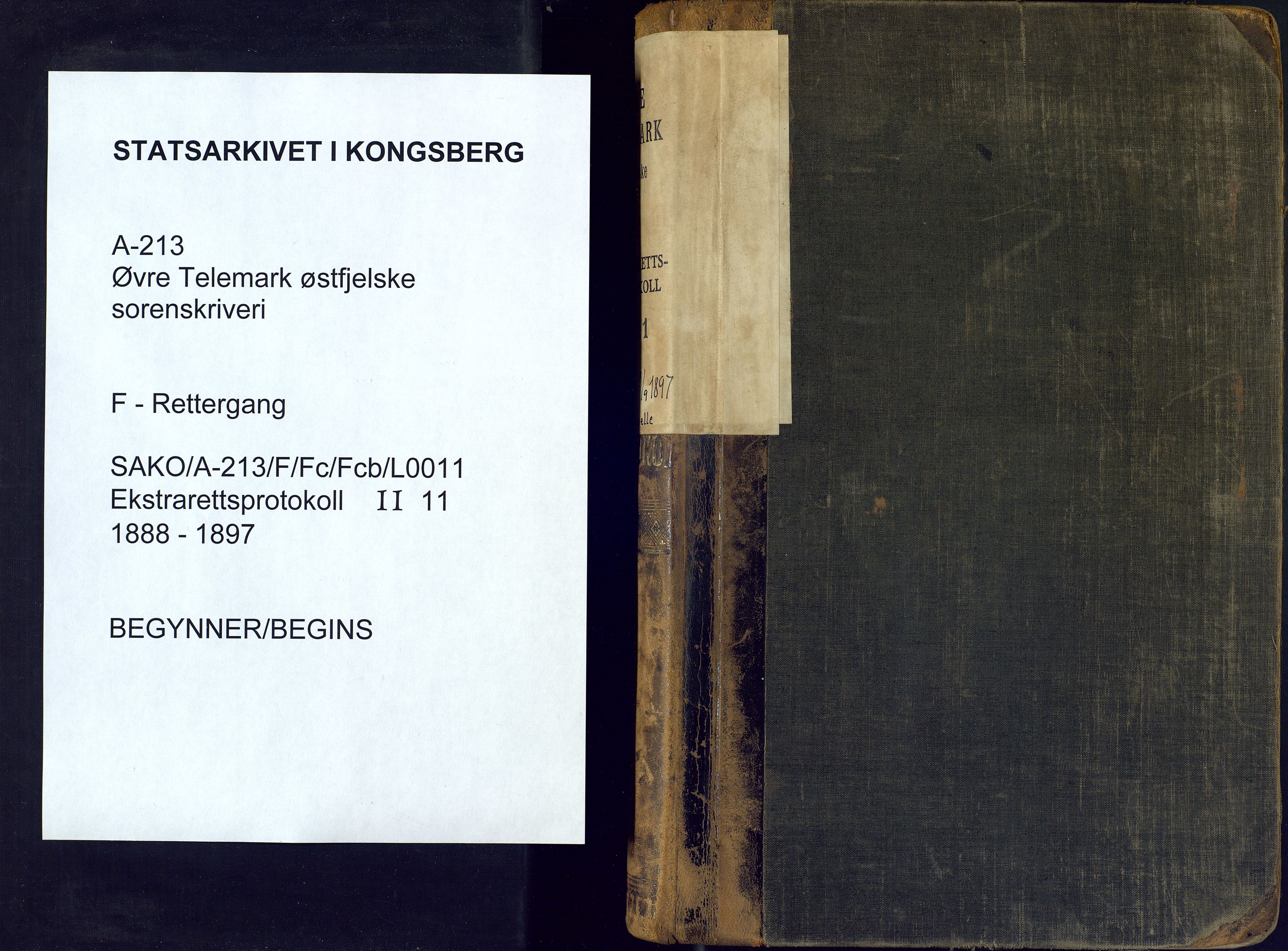 Øvre Telemark østfjelske sorenskriveri, SAKO/A-213/F/Fc/Fcb/L0011: Ekstrarettsprotokoll, straffesaker, 1888-1897