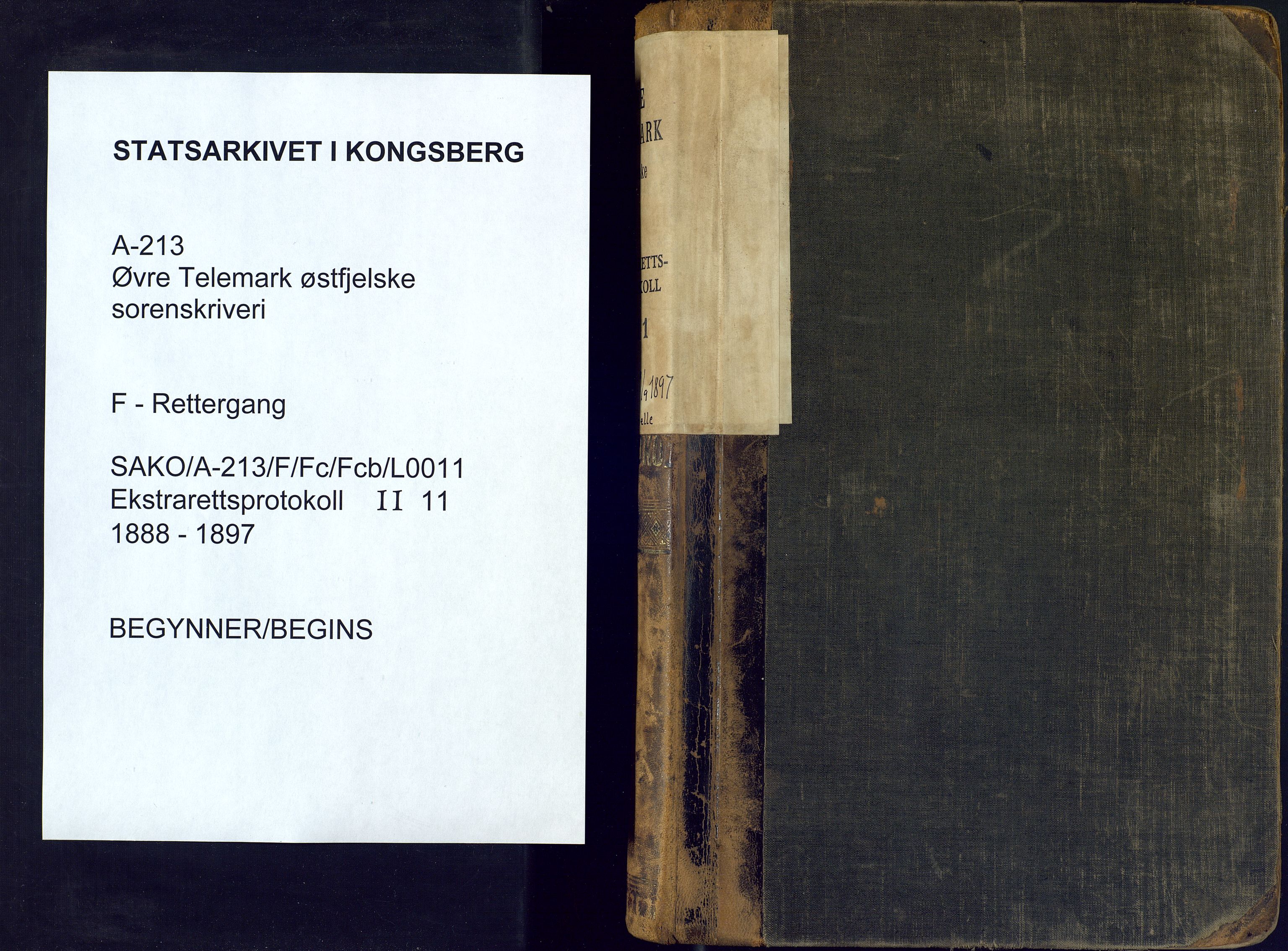 Øvre Telemark østfjelske sorenskriveri, AV/SAKO-A-213/F/Fc/Fcb/L0011: Ekstrarettsprotokoll, straffesaker, 1888-1897