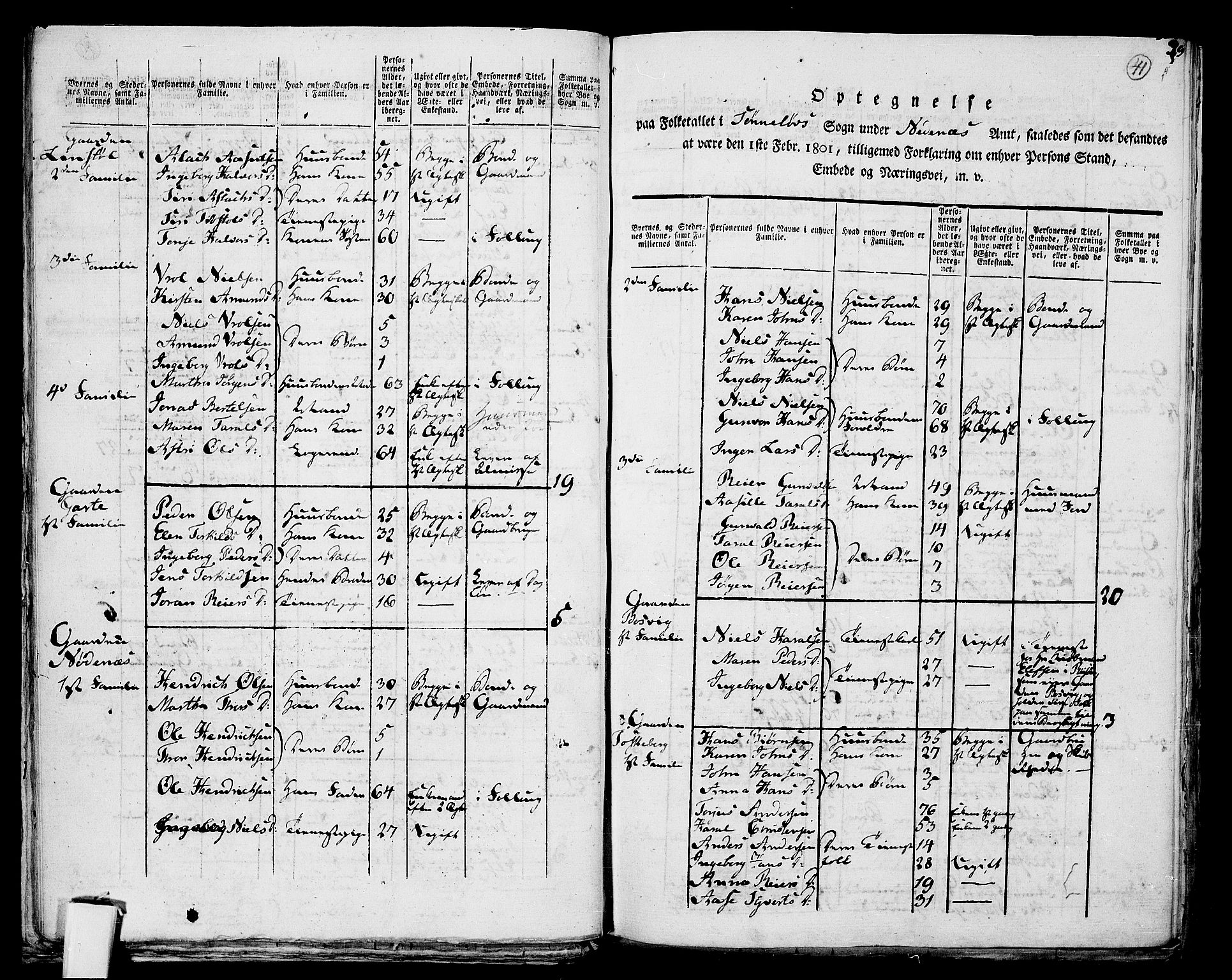 RA, 1801 census for 0901P Risør, 1801, p. 40b-41a