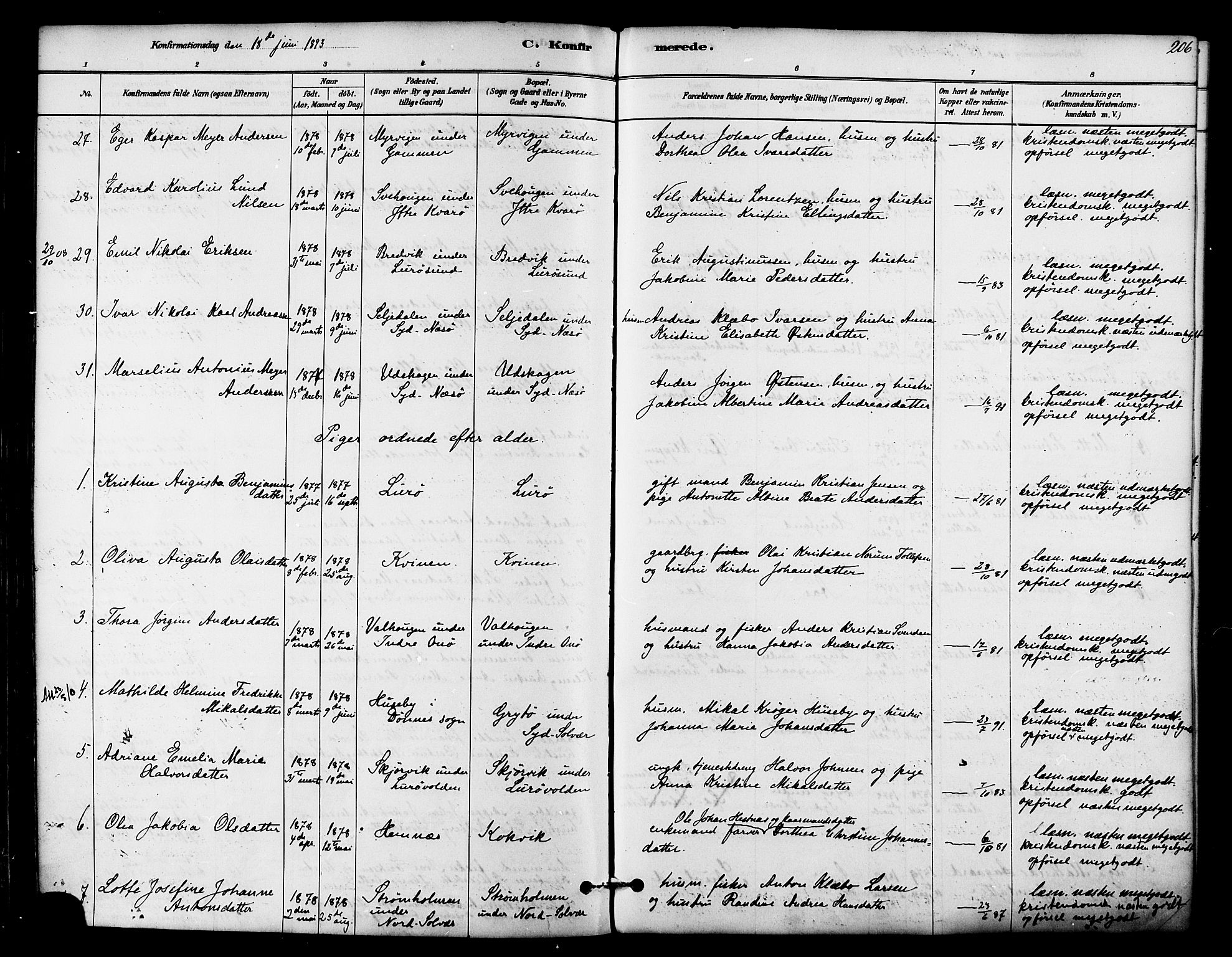 Ministerialprotokoller, klokkerbøker og fødselsregistre - Nordland, AV/SAT-A-1459/839/L0568: Parish register (official) no. 839A05, 1880-1902, p. 206