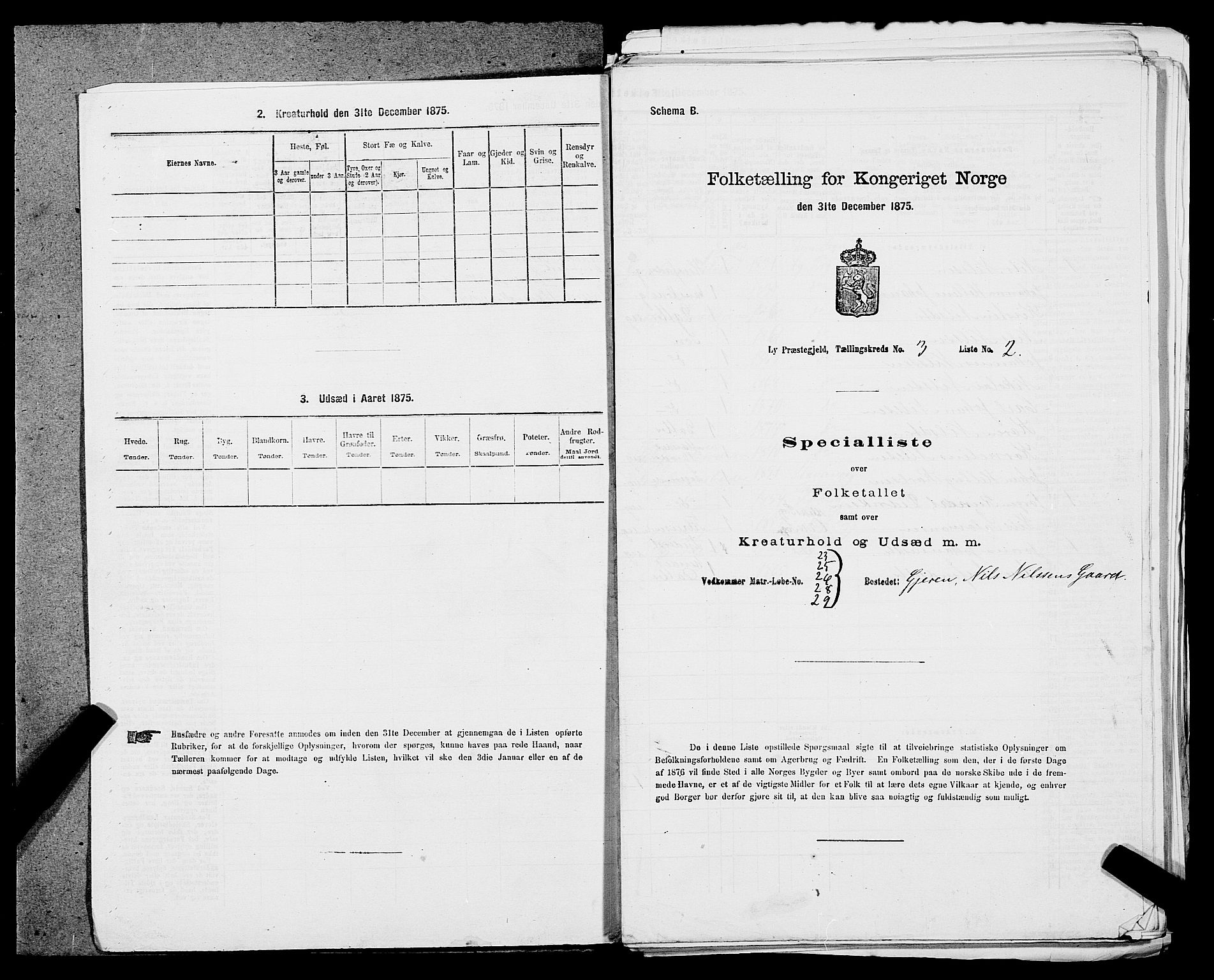 SAST, 1875 census for 1121P Lye, 1875, p. 330