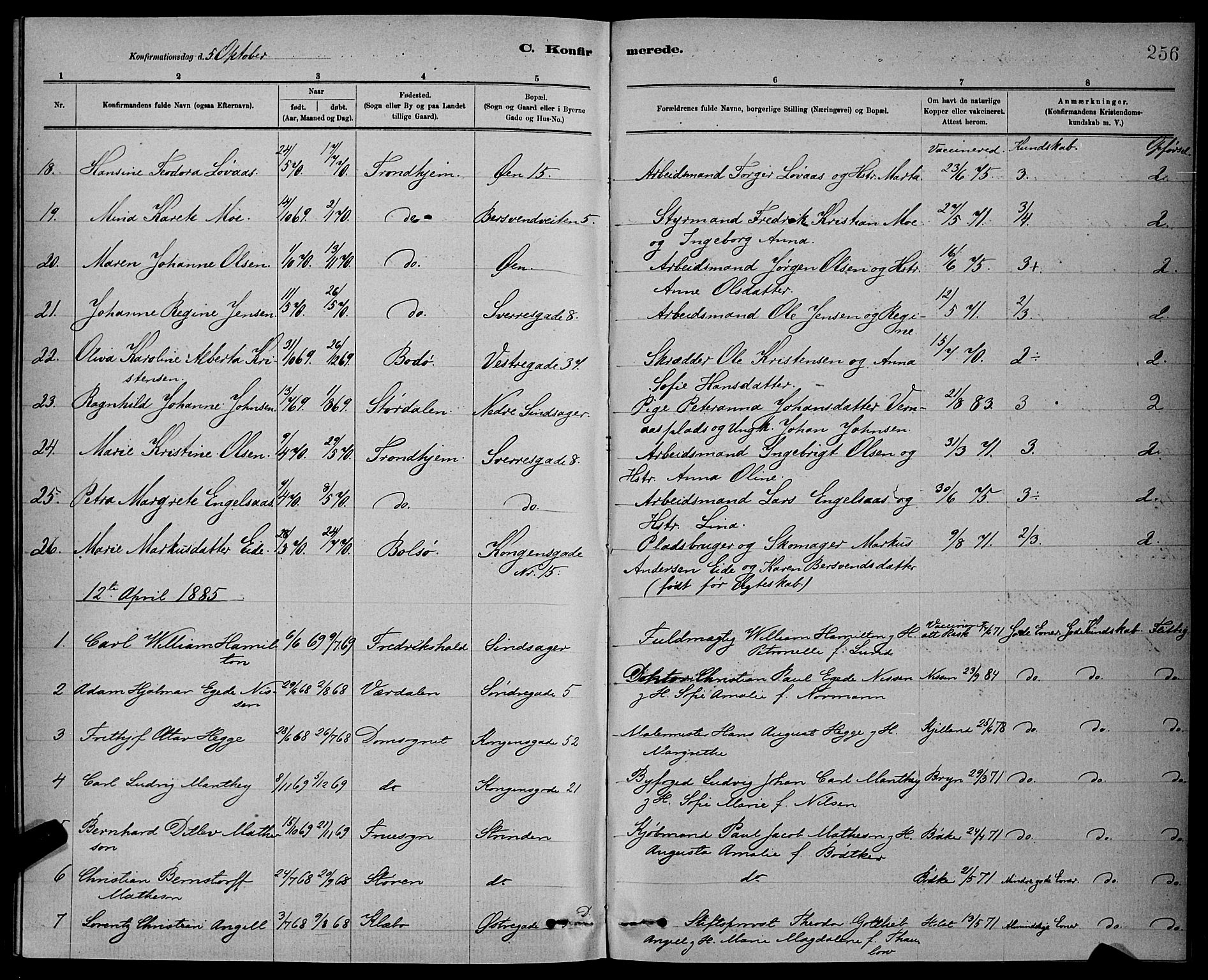 Ministerialprotokoller, klokkerbøker og fødselsregistre - Sør-Trøndelag, AV/SAT-A-1456/601/L0092: Parish register (copy) no. 601C10, 1884-1897, p. 256