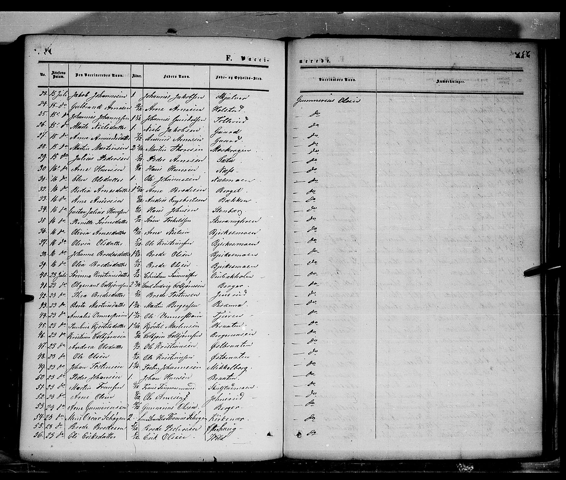 Grue prestekontor, AV/SAH-PREST-036/H/Ha/Haa/L0009: Parish register (official) no. 9, 1859-1863, p. 456