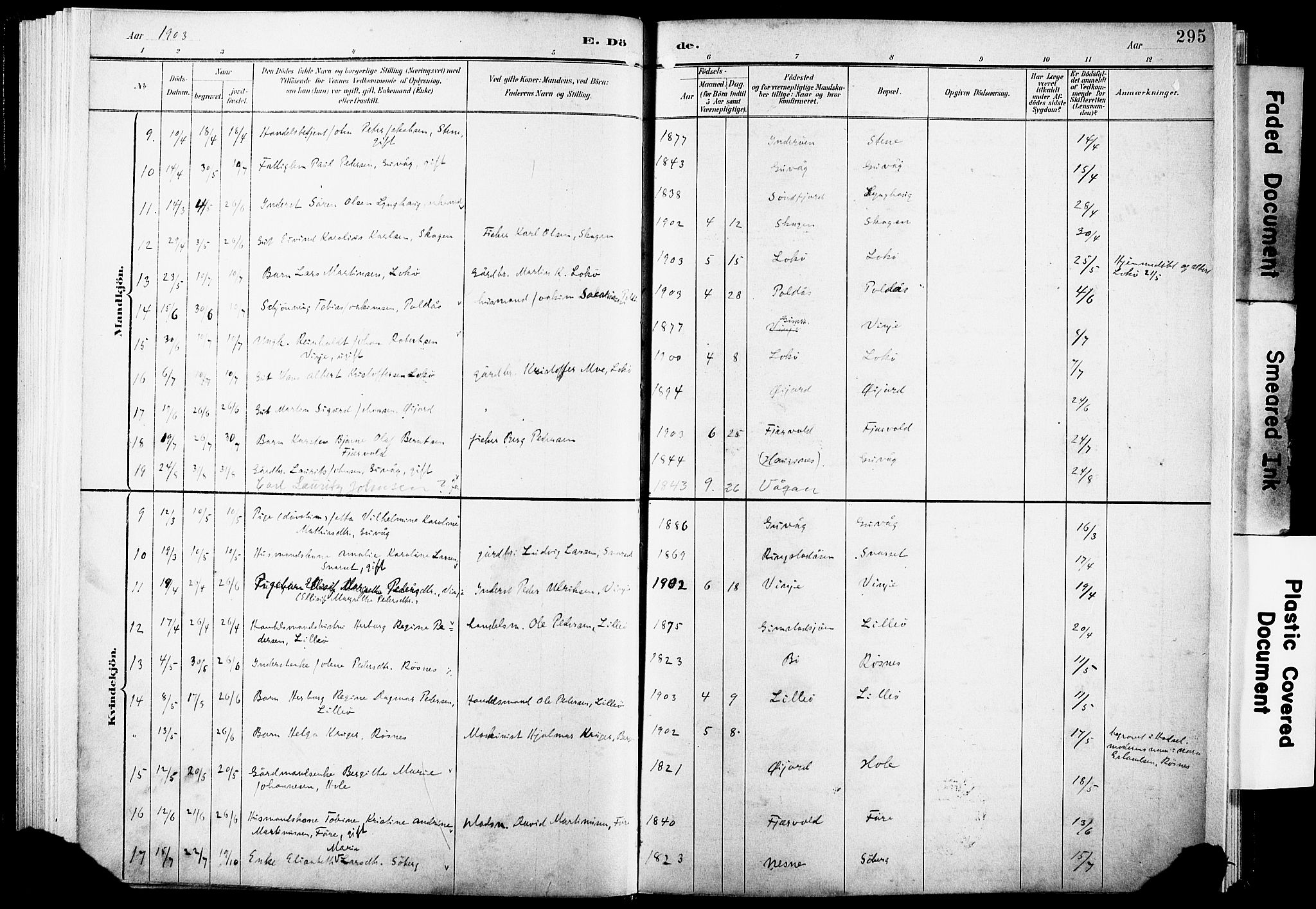 Ministerialprotokoller, klokkerbøker og fødselsregistre - Nordland, AV/SAT-A-1459/891/L1305: Parish register (official) no. 891A10, 1895-1921, p. 295