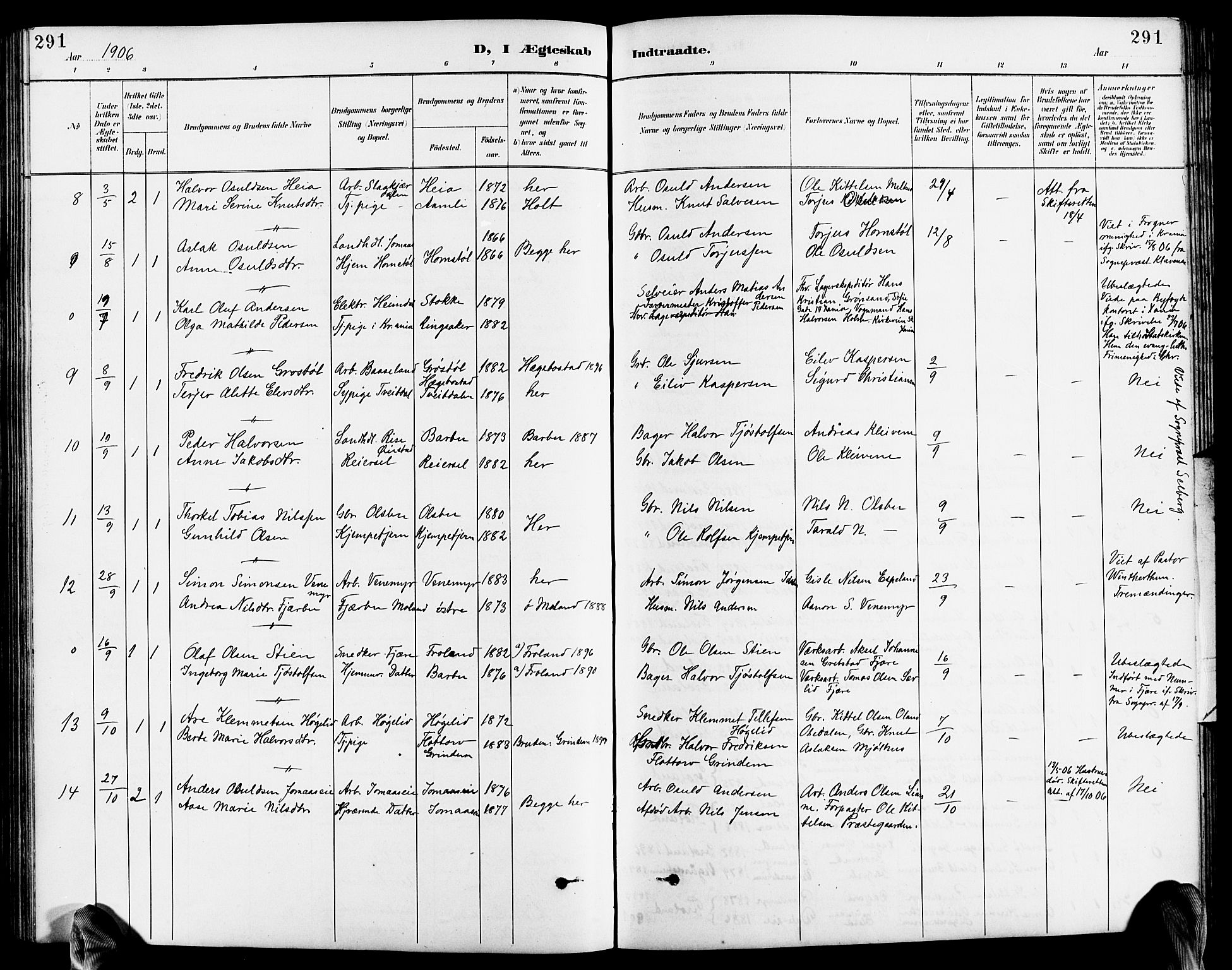 Froland sokneprestkontor, AV/SAK-1111-0013/F/Fb/L0010: Parish register (copy) no. B 10, 1893-1920, p. 291