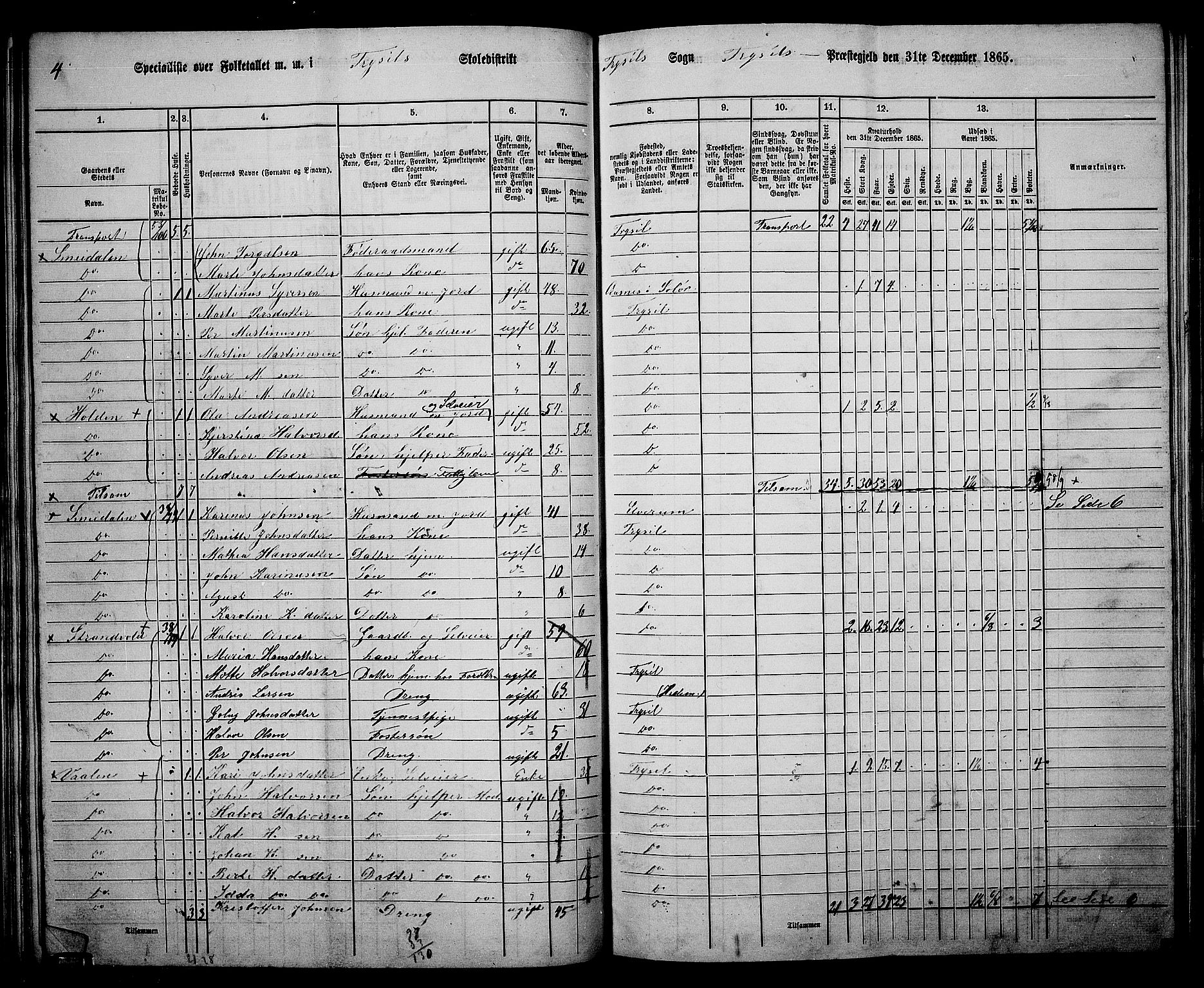 RA, 1865 census for Trysil, 1865, p. 61