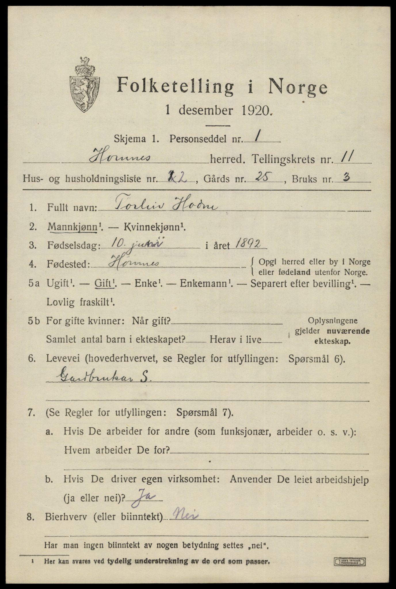 SAK, 1920 census for Hornnes, 1920, p. 2645