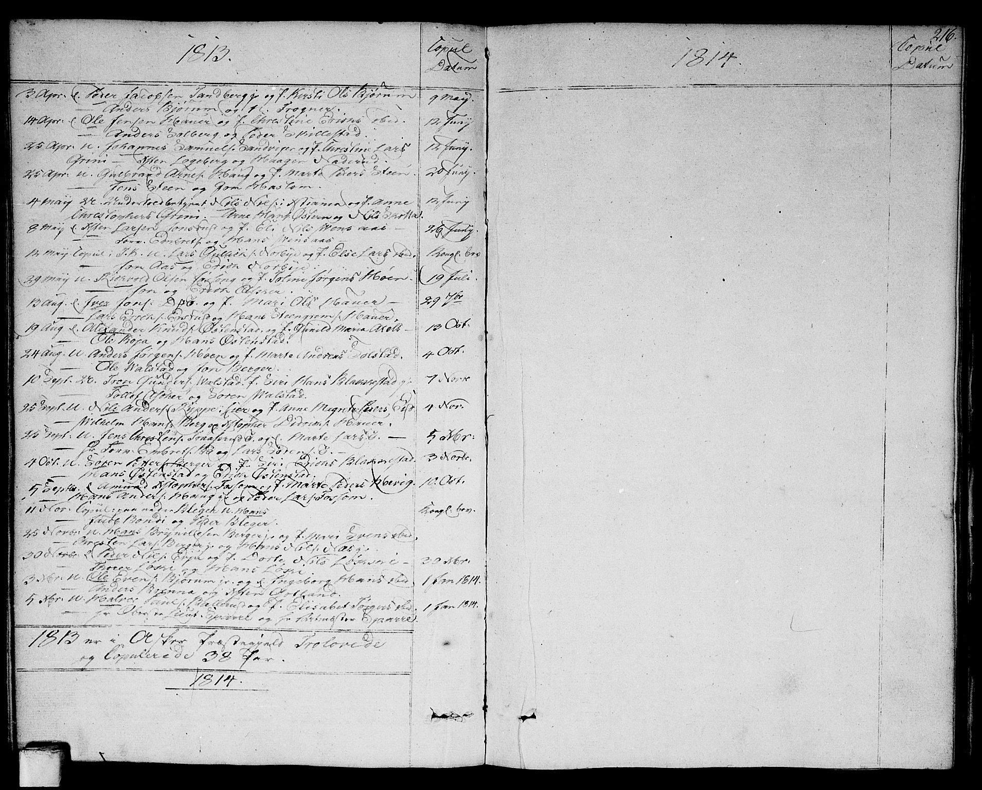 Asker prestekontor Kirkebøker, AV/SAO-A-10256a/F/Fa/L0005: Parish register (official) no. I 5, 1807-1813, p. 216