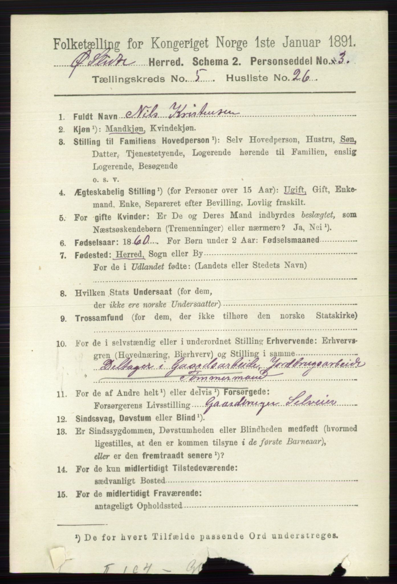 RA, 1891 census for 0544 Øystre Slidre, 1891, p. 1733