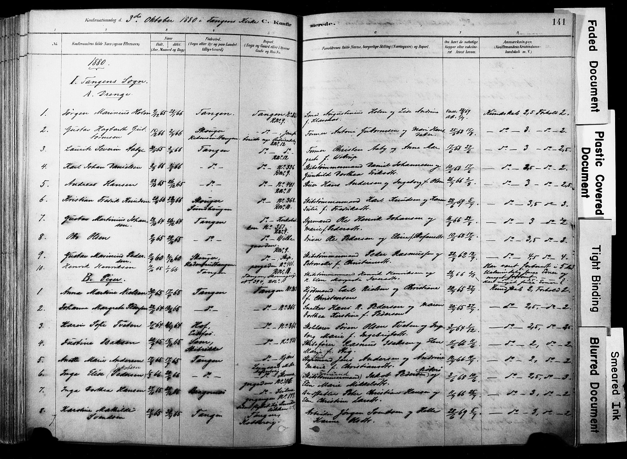 Strømsø kirkebøker, SAKO/A-246/F/Fb/L0006: Parish register (official) no. II 6, 1879-1910, p. 141