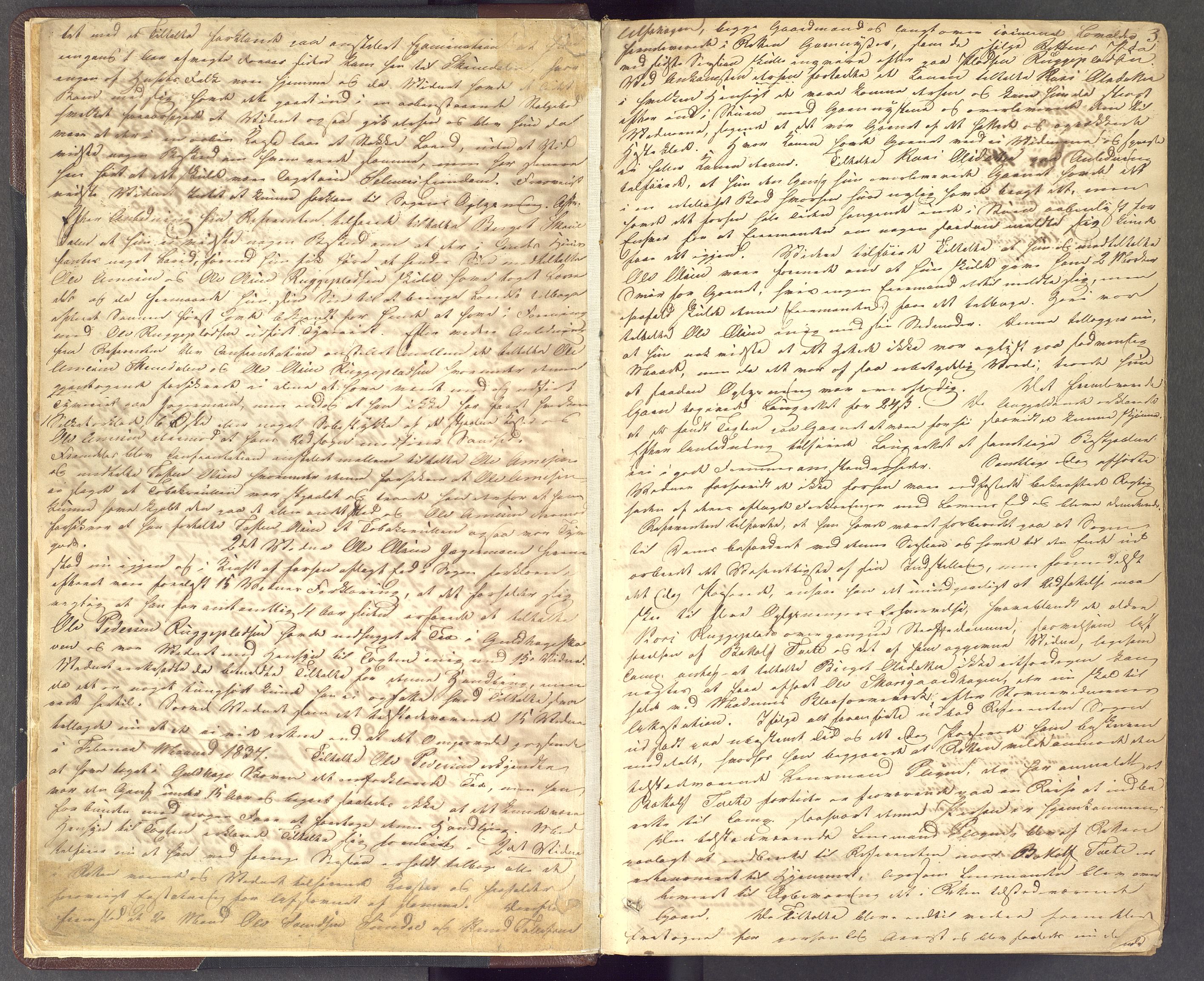 Hallingdal sorenskriveri, AV/SAKO-A-121/F/Fc/L0005: Ekstrarettsprotokoll, Ål, 1841-1848, p. 3