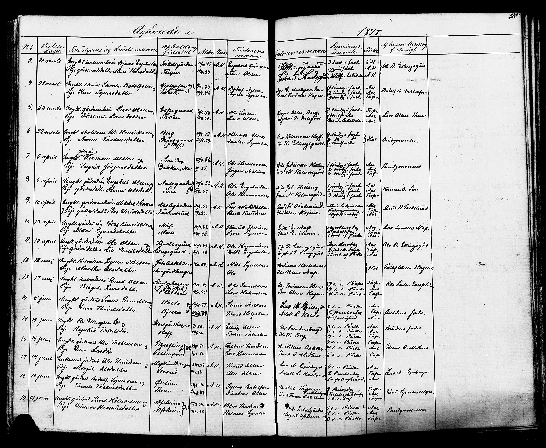 Ål kirkebøker, AV/SAKO-A-249/F/Fa/L0007: Parish register (official) no. I 7, 1865-1881, p. 210