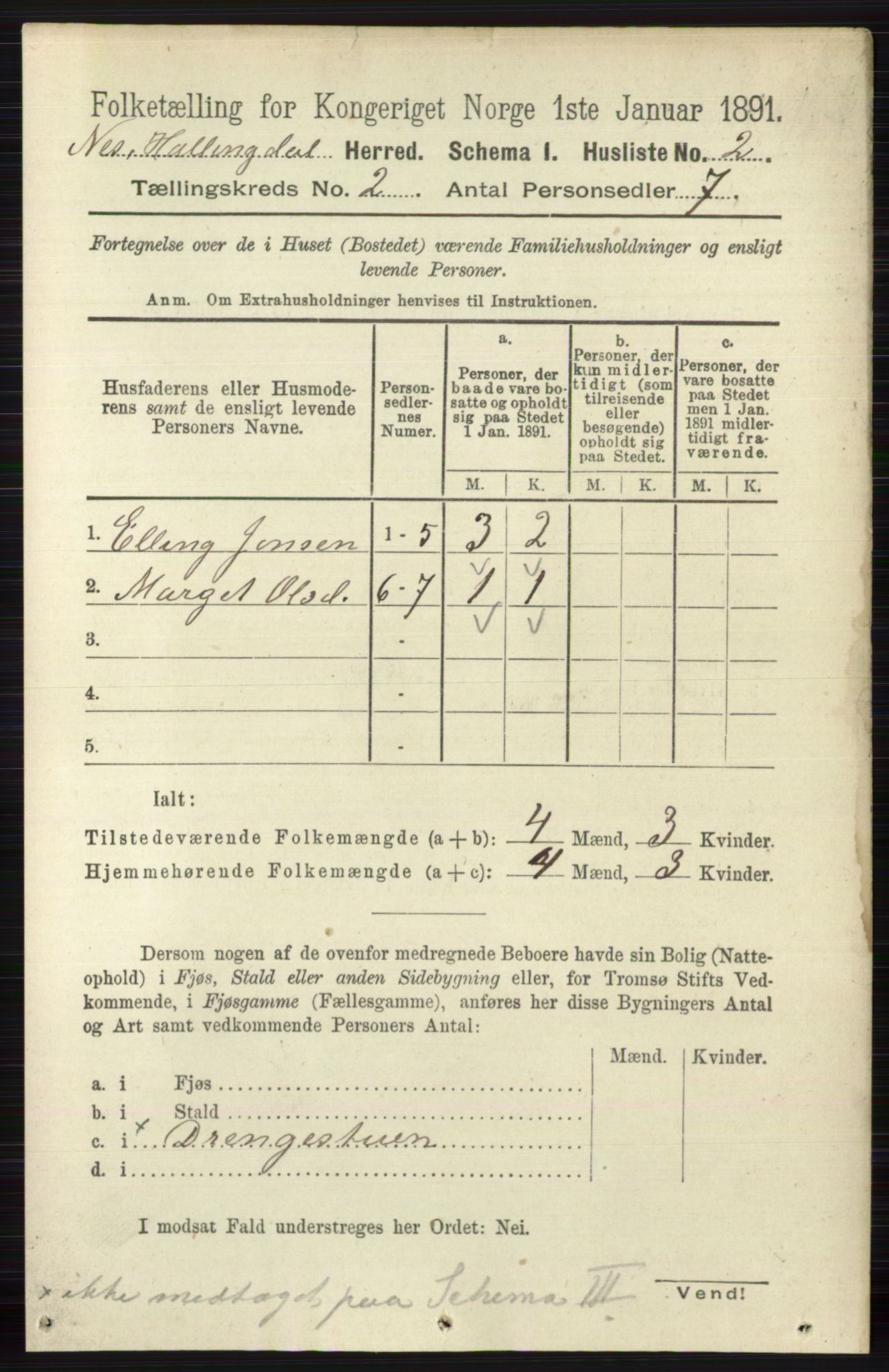 RA, 1891 census for 0616 Nes, 1891, p. 909