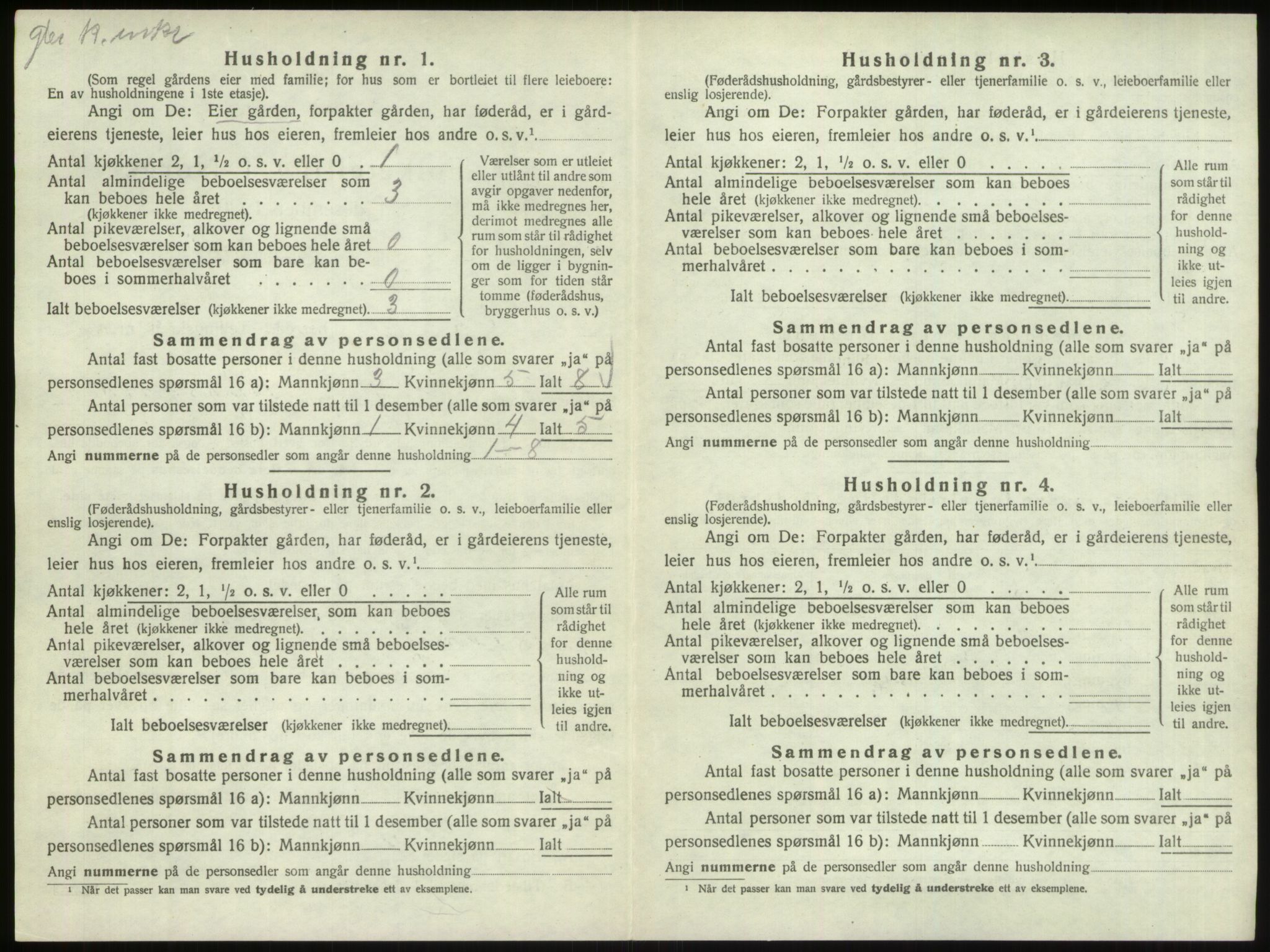 SAO, 1920 census for Hvaler, 1920, p. 1529