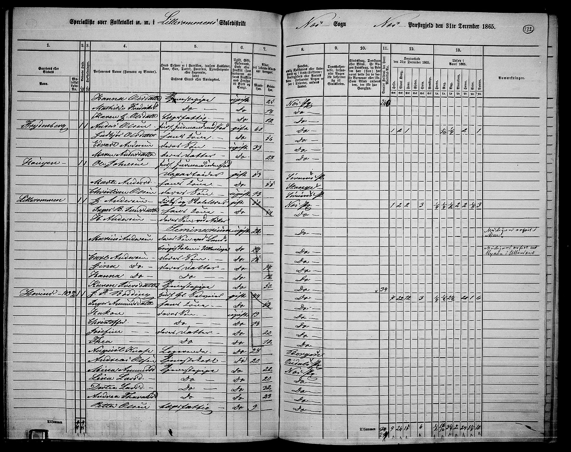 RA, 1865 census for Nes, 1865, p. 119