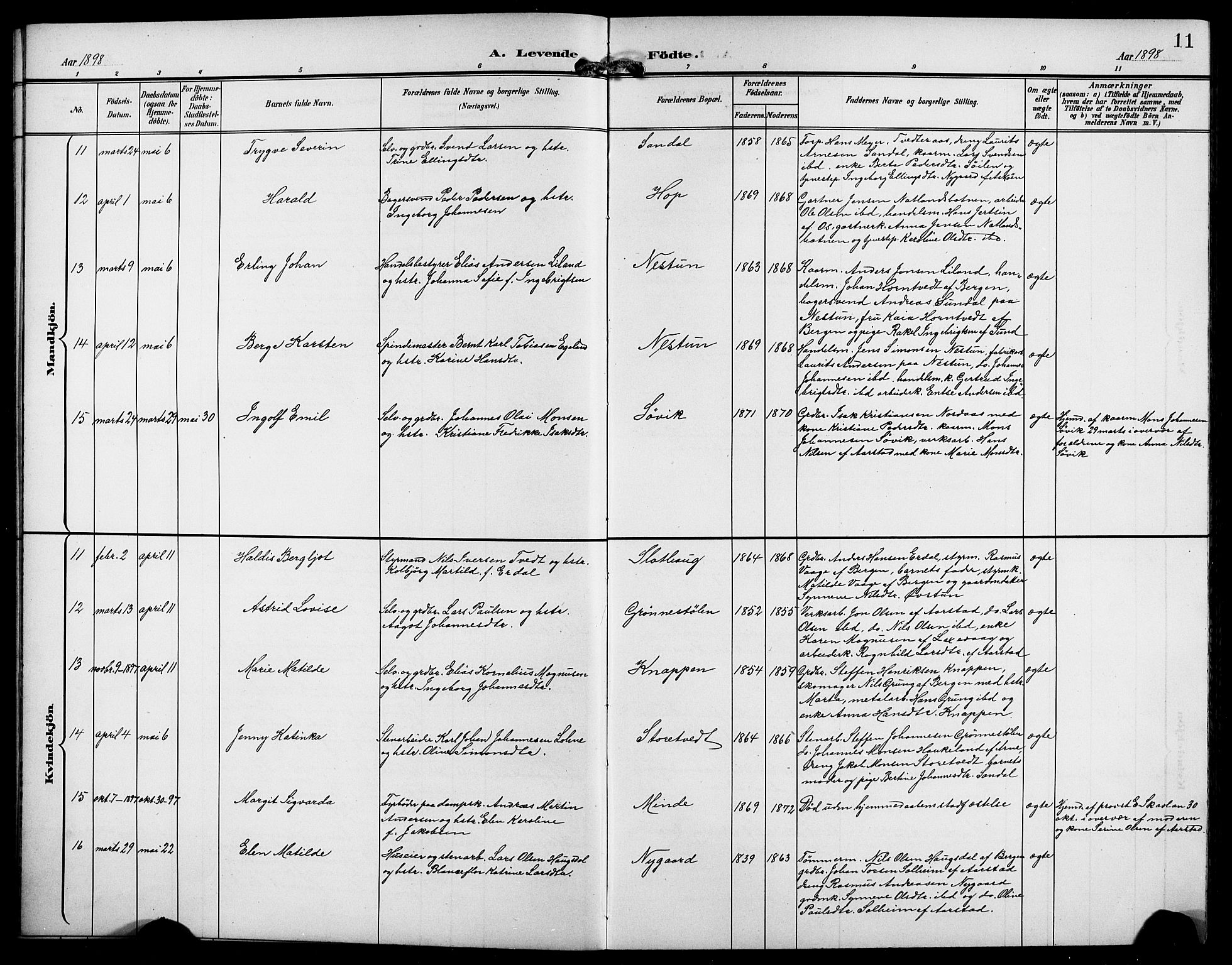 Birkeland Sokneprestembete, AV/SAB-A-74601/H/Hab: Parish register (copy) no. A 5, 1897-1905, p. 11