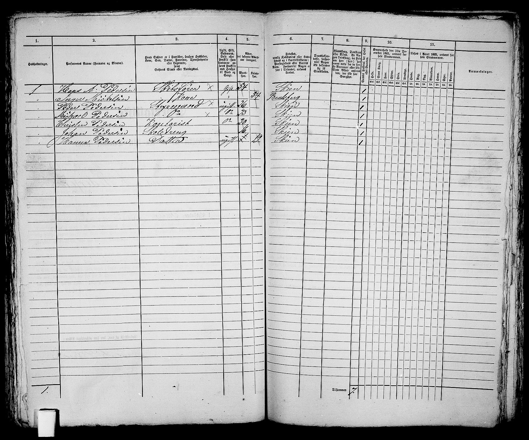 RA, 1865 census for Skien, 1865, p. 289