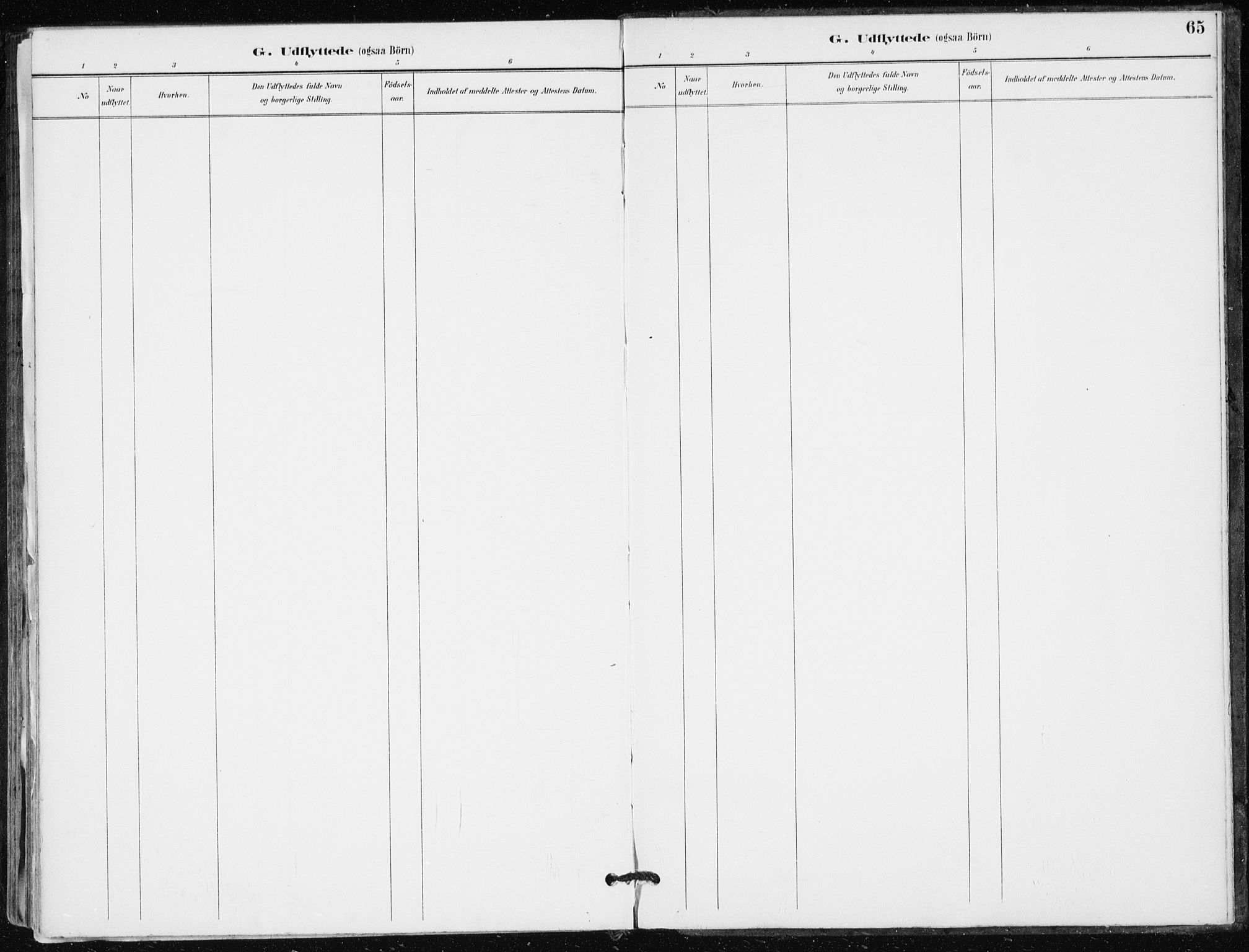 Modum kirkebøker, SAKO/A-234/F/Fa/L0016: Parish register (official) no. 16, 1890-1899, p. 65