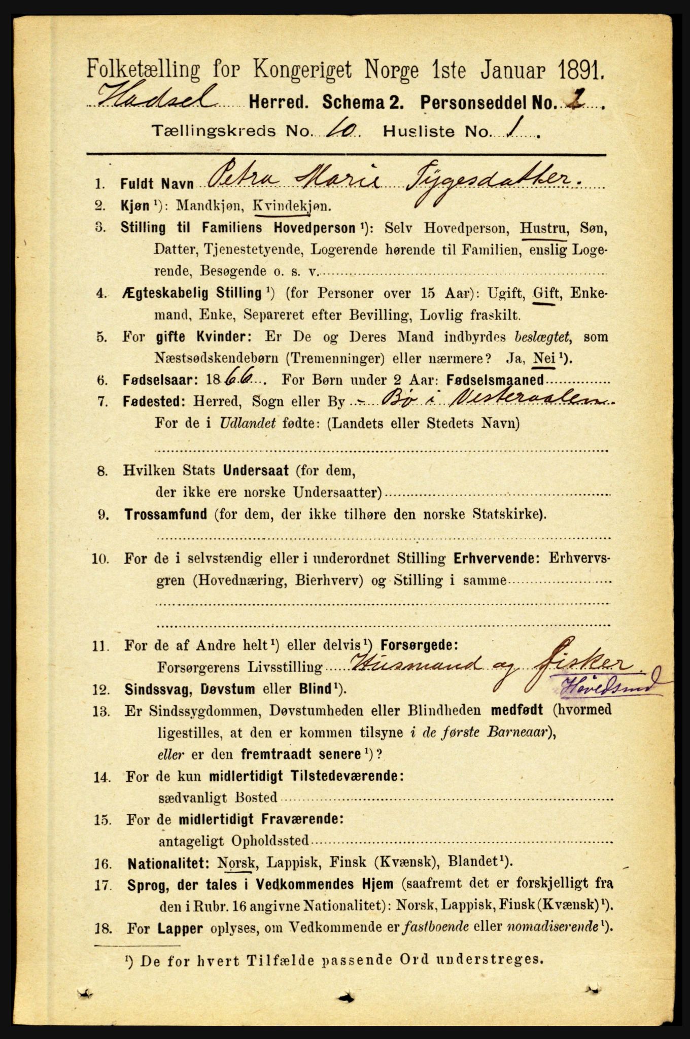 RA, 1891 census for 1866 Hadsel, 1891, p. 4203