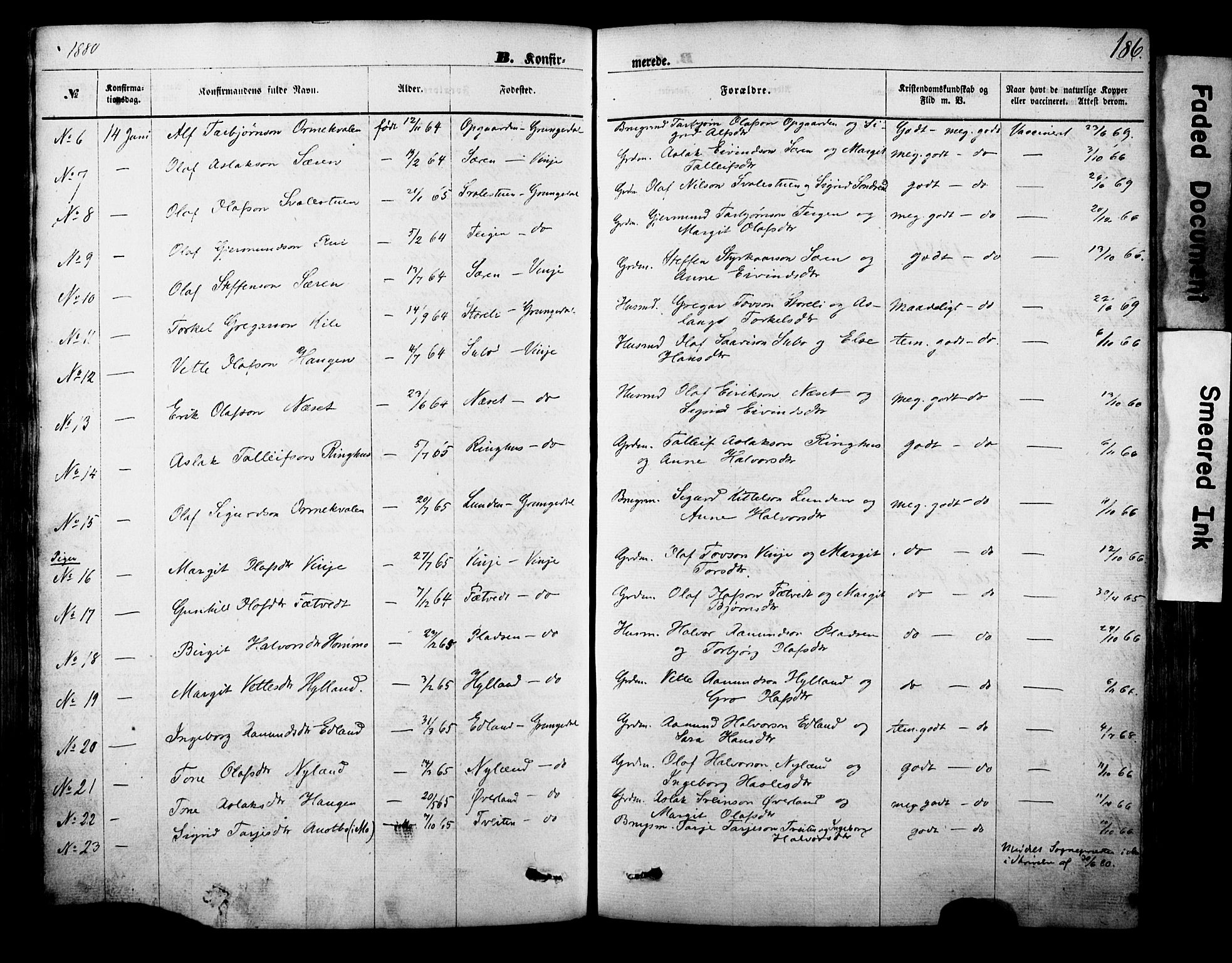 Vinje kirkebøker, SAKO/A-312/F/Fa/L0005: Parish register (official) no. I 5, 1870-1886, p. 186