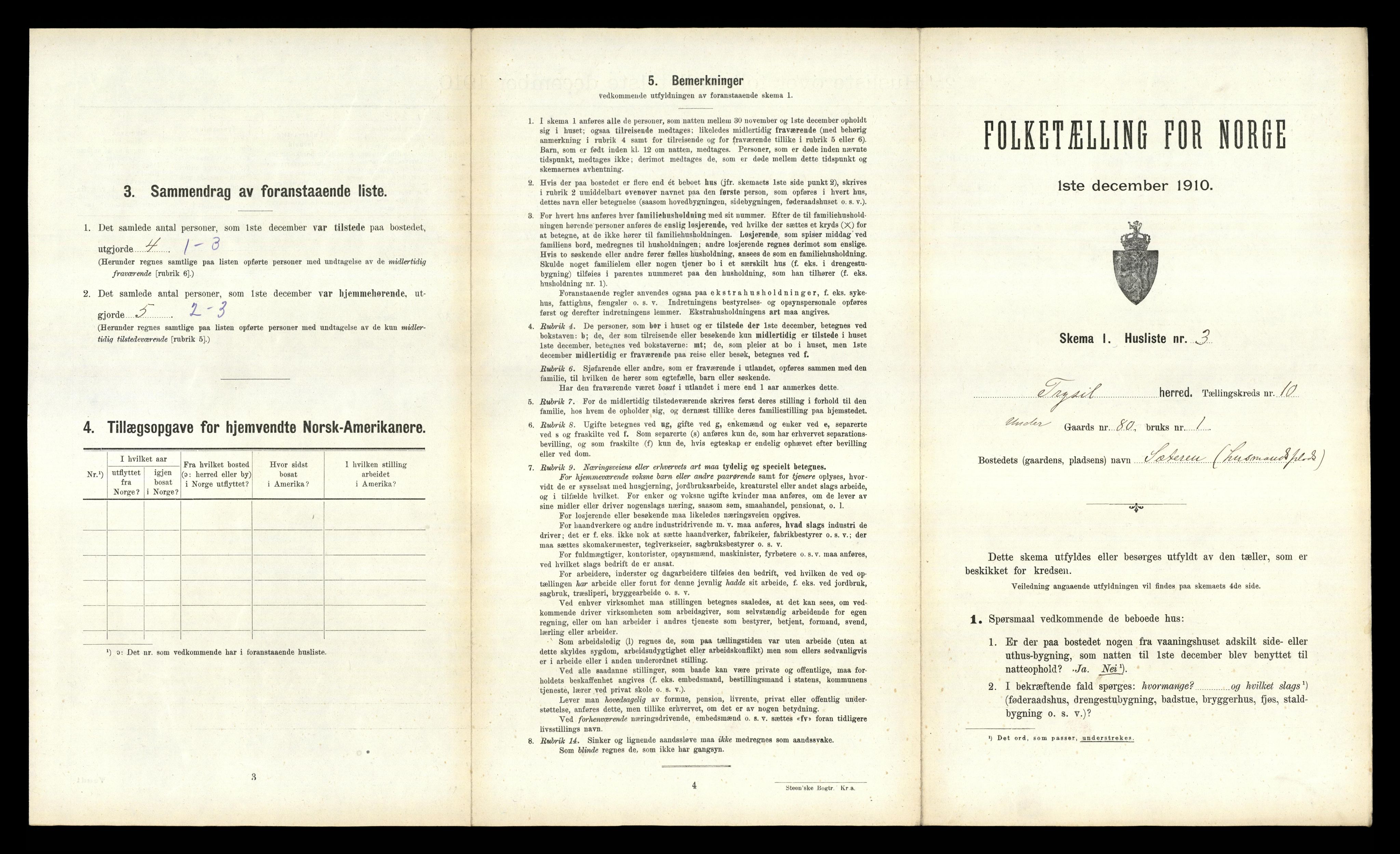 RA, 1910 census for Trysil, 1910, p. 1199