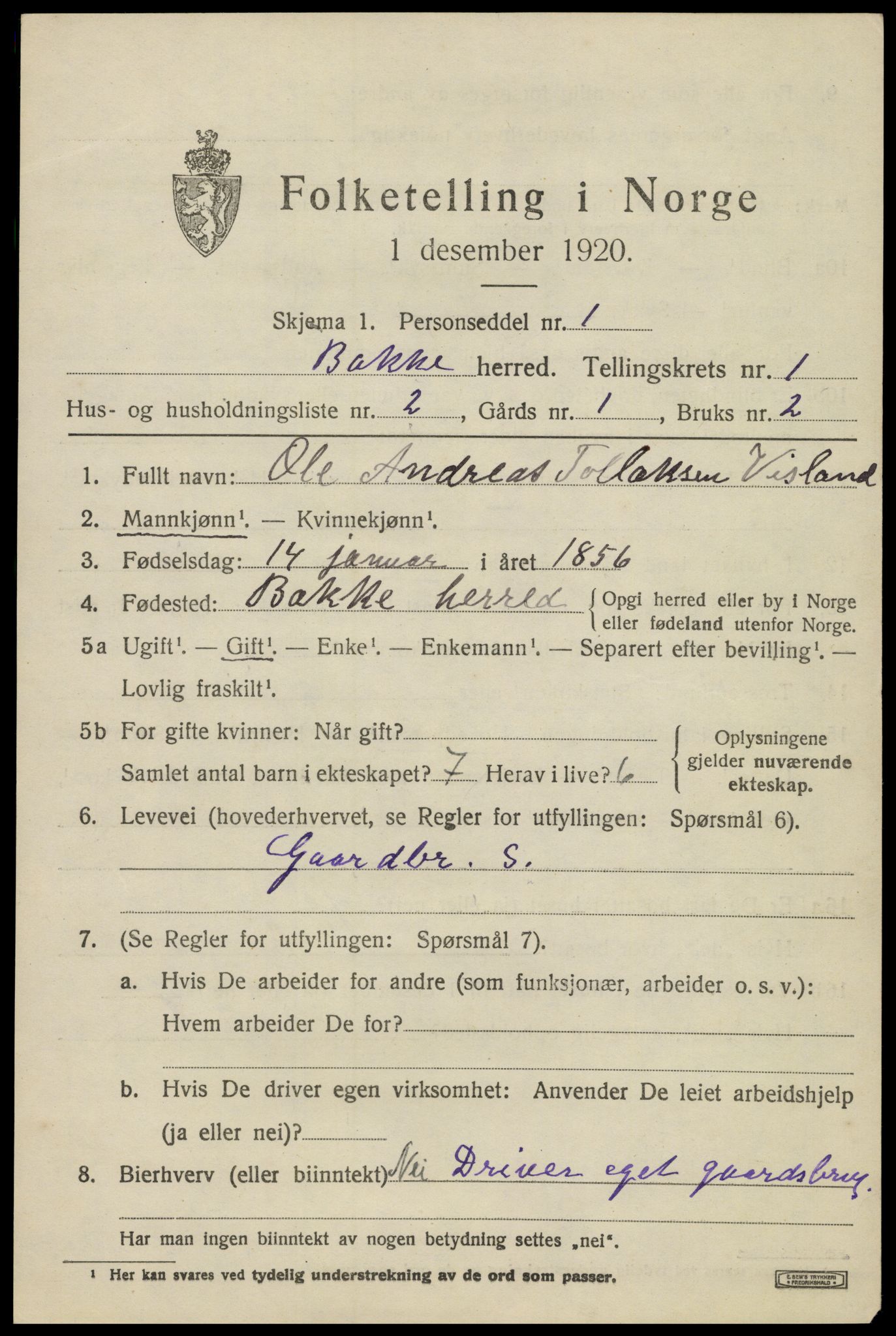 SAK, 1920 census for Bakke, 1920, p. 600