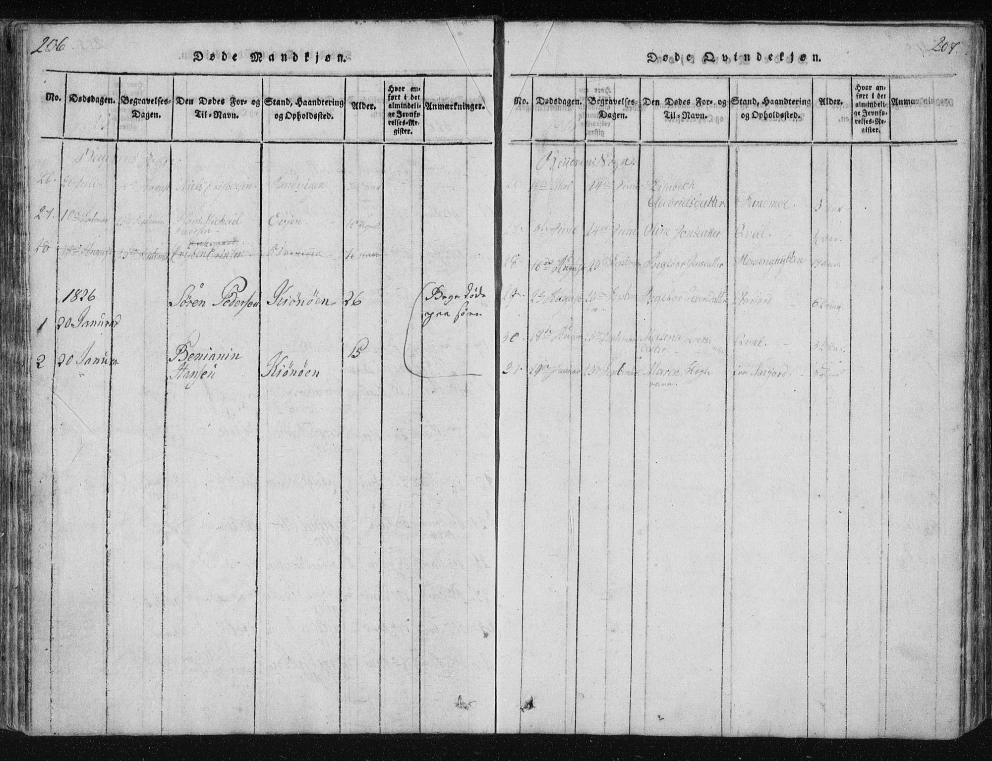 Ministerialprotokoller, klokkerbøker og fødselsregistre - Nordland, AV/SAT-A-1459/805/L0096: Parish register (official) no. 805A03, 1820-1837, p. 206-207