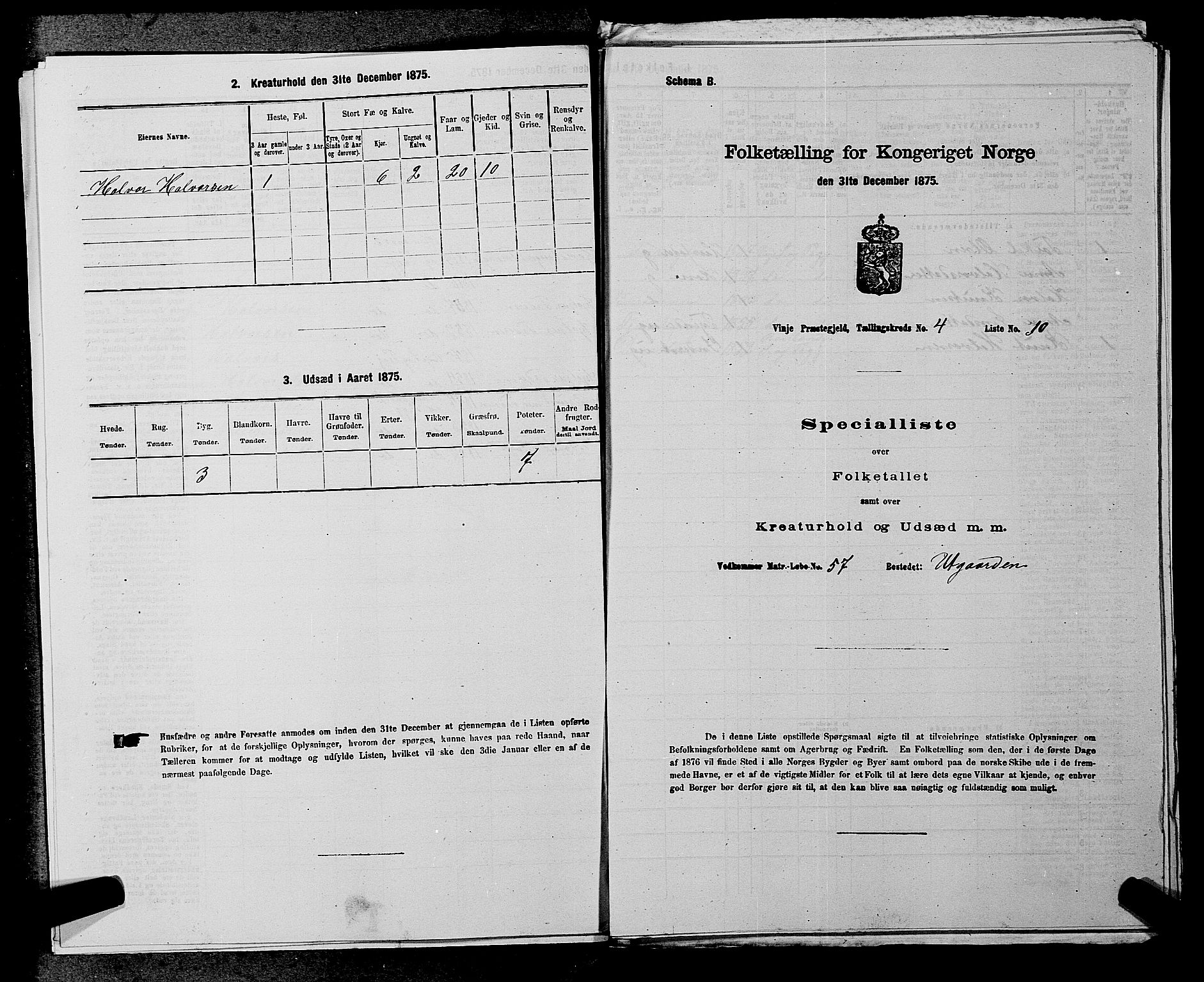 SAKO, 1875 census for 0834P Vinje, 1875, p. 313