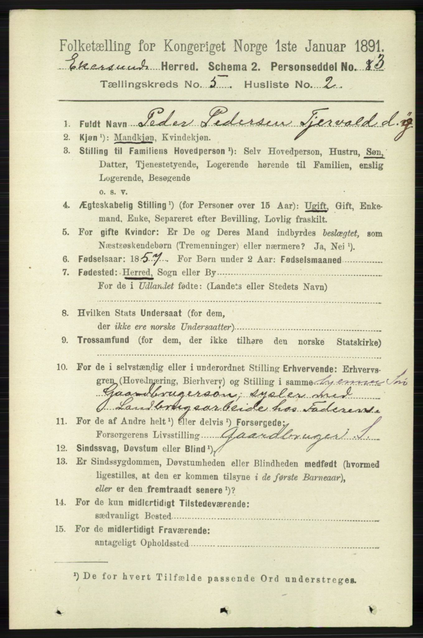 RA, 1891 census for 1116 Eigersund herred, 1891, p. 2052